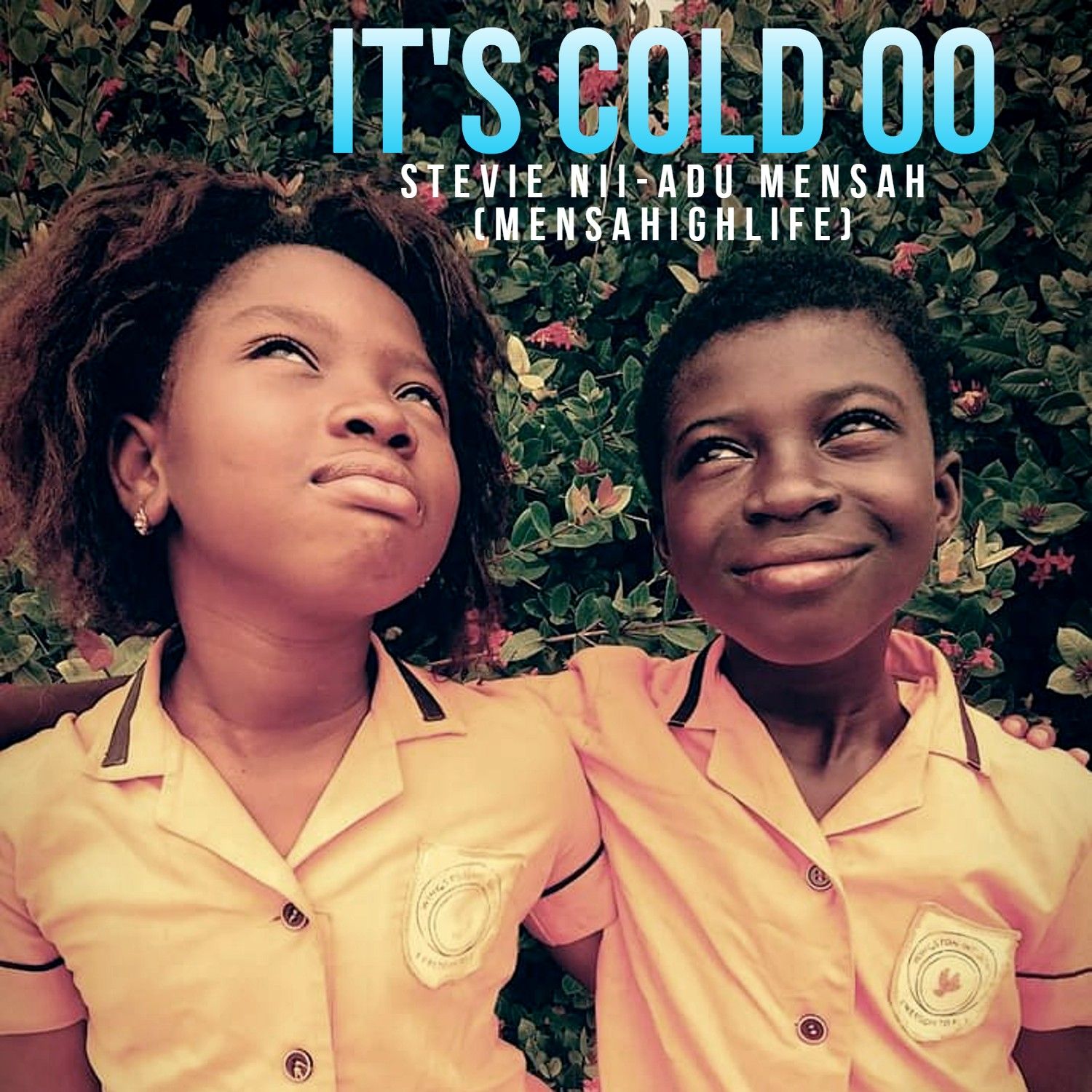 It's Cold Oo, audiobook by Stevie Nii-Adu Mensah