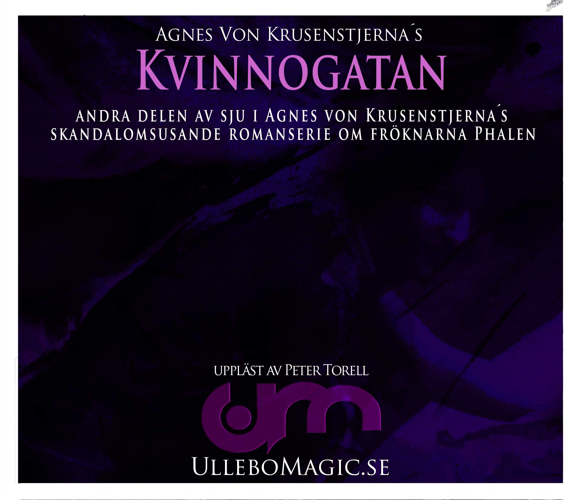 Kvinnogatan, audiobook by Agnes von Krusenstjerna