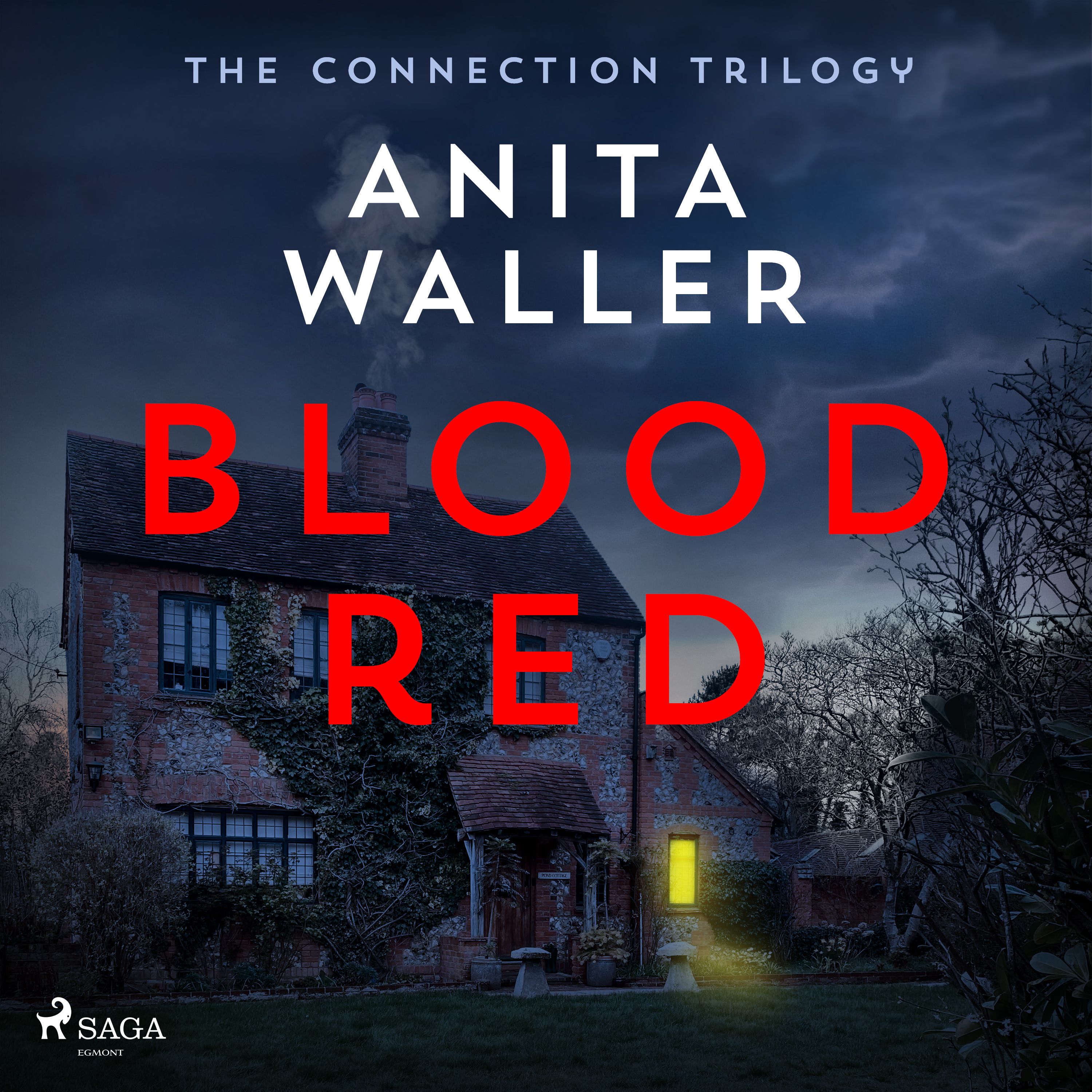 Blood Red, audiobook by Anita Waller