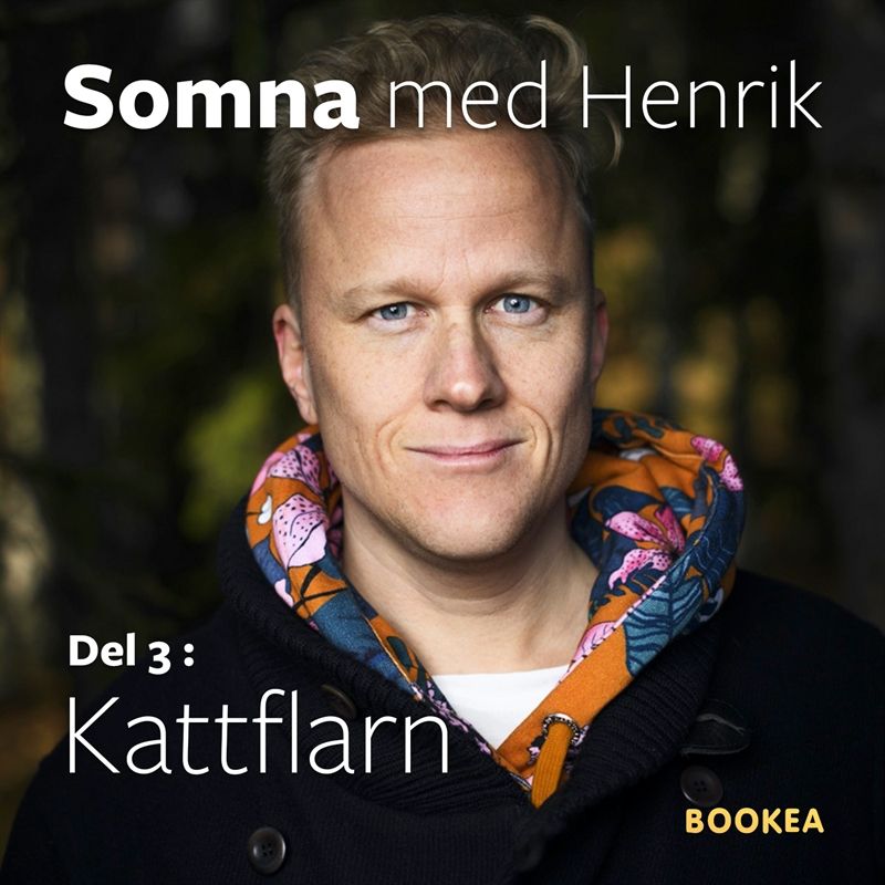 Kattflarn, audiobook by Henrik Ståhl