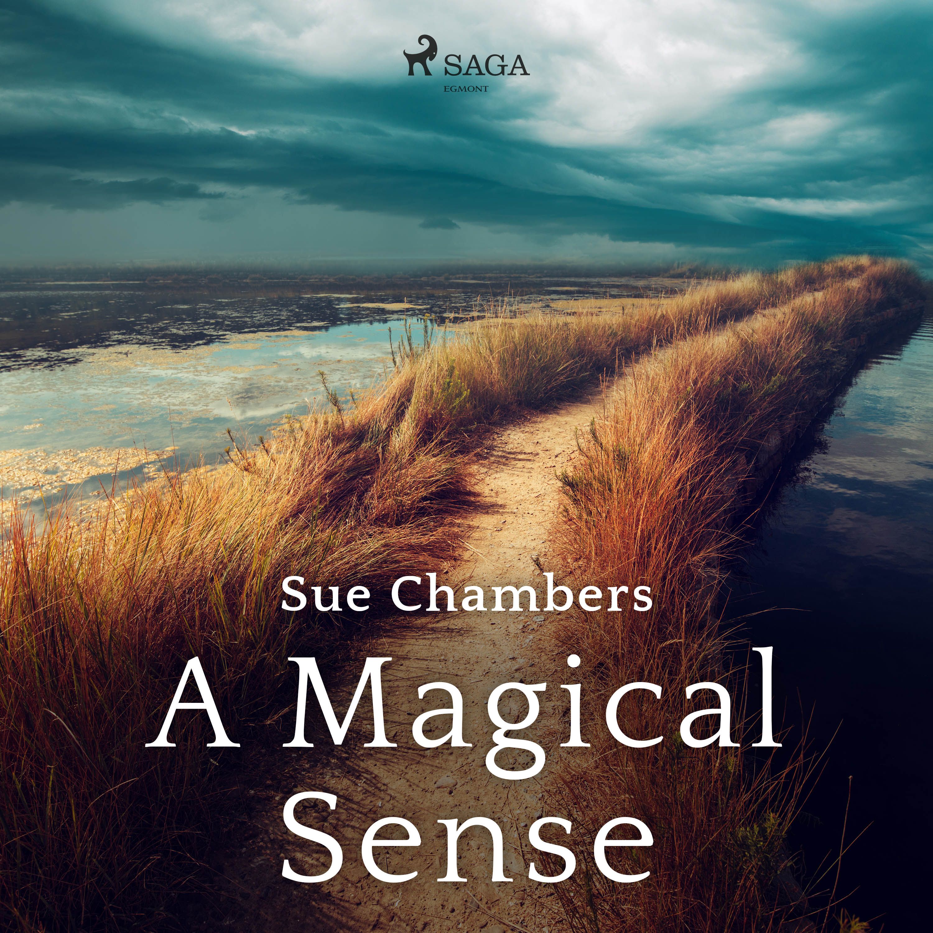 A Magical Sense, ljudbok av Sue Chambers