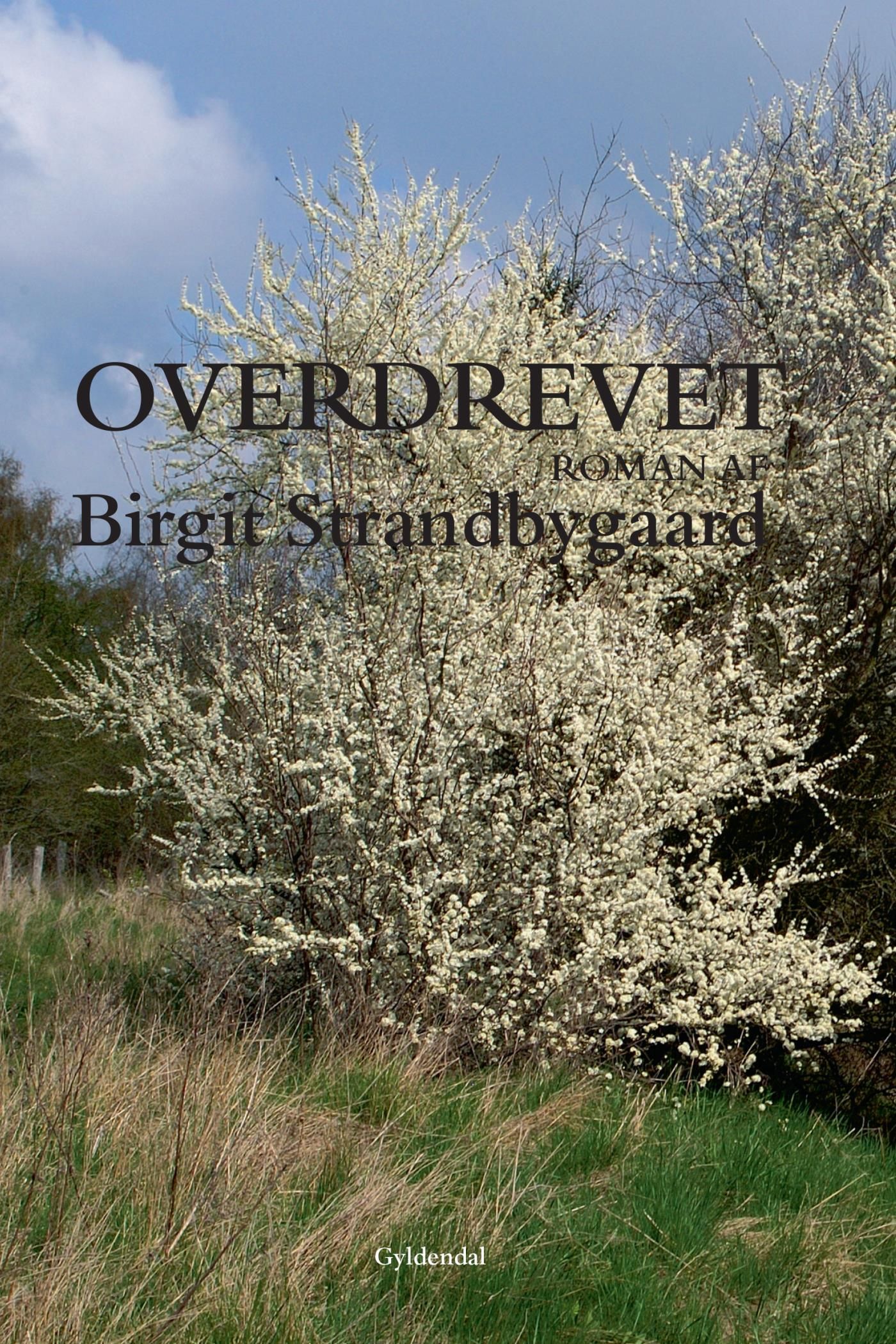 Overdrevet, eBook by Birgit Strandbygaard