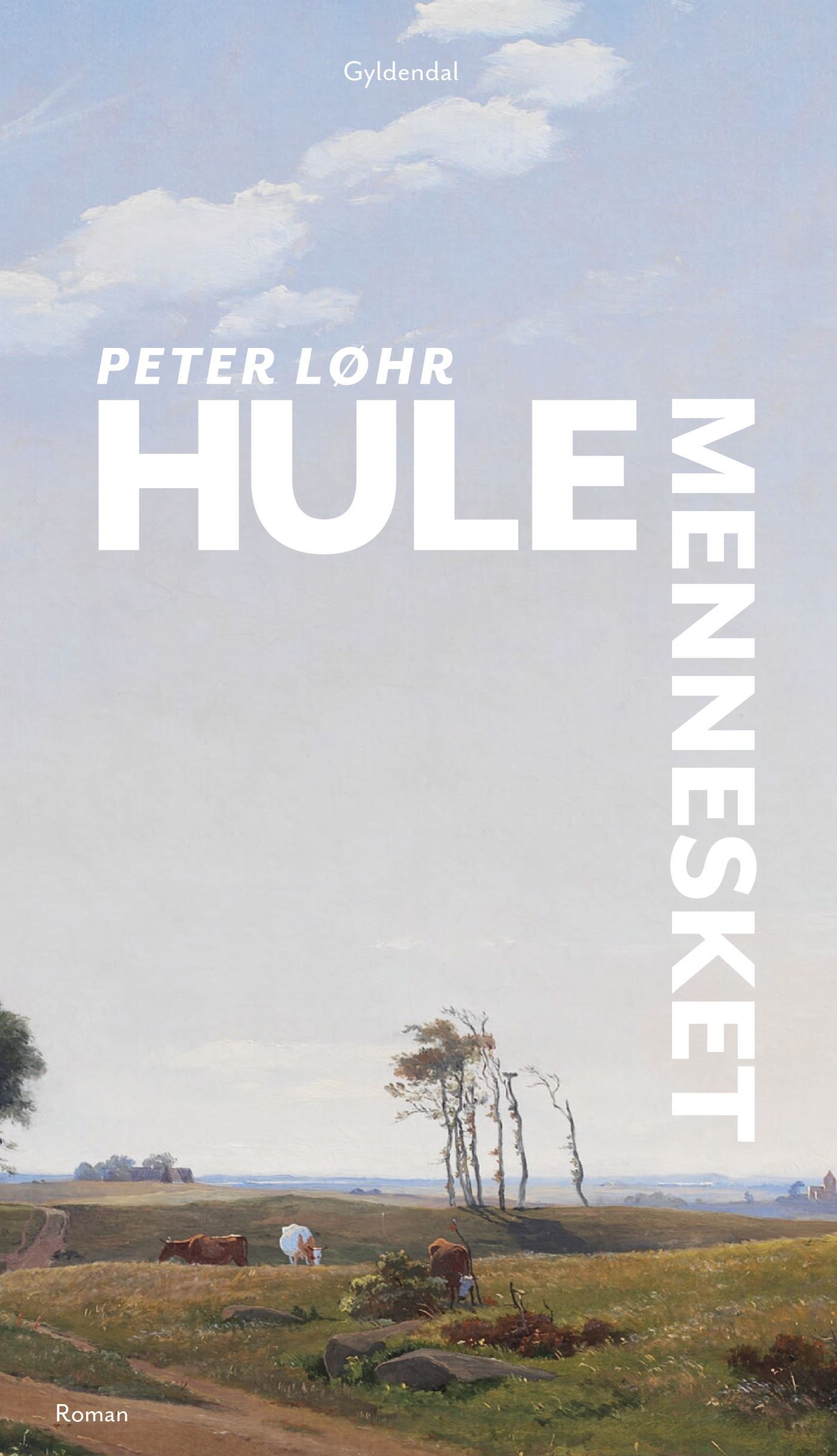 Hulemennesket, ljudbok av Peter Løhr