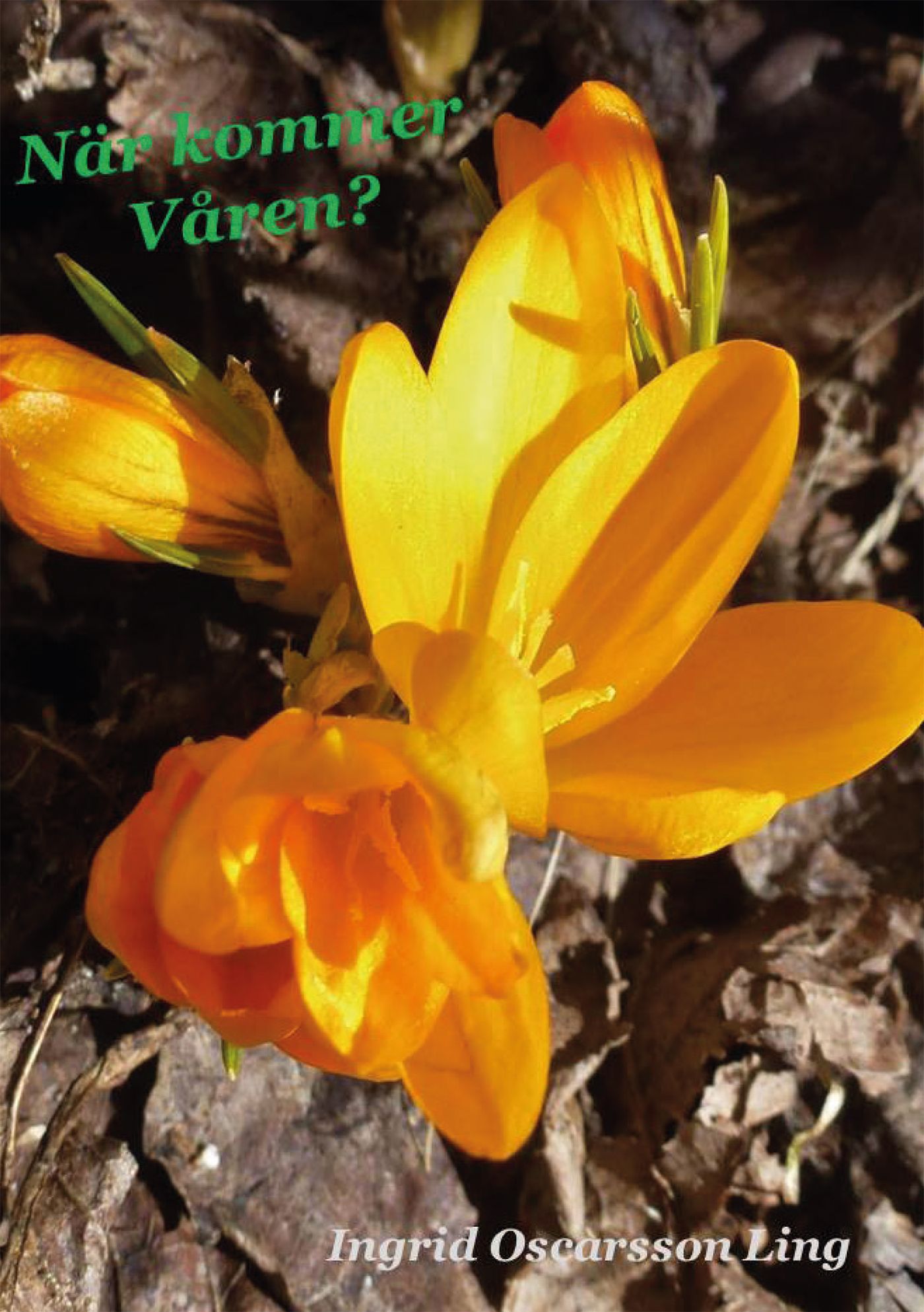 När kommer våren?, e-bok av Ingrid Oscarsson Ling