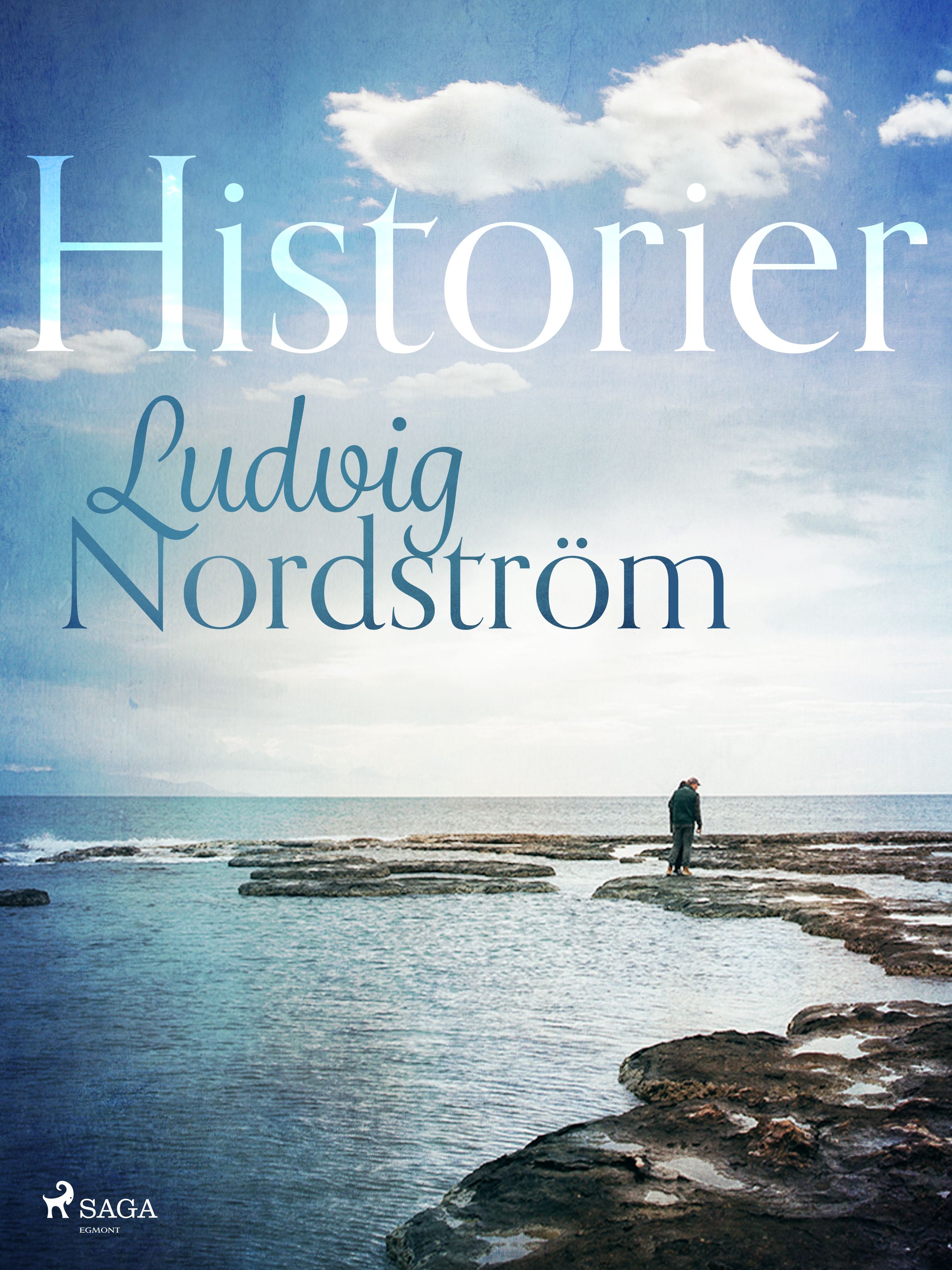 Historier, e-bok av Ludvig Nordström