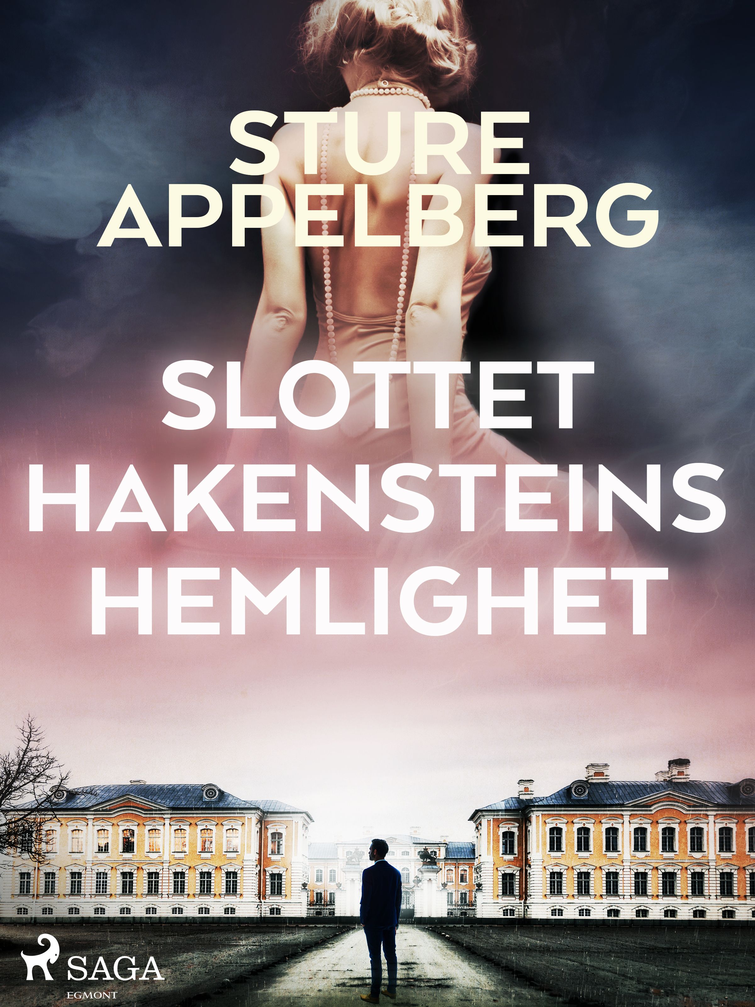 Slottet Hakensteins hemlighet, e-bog af Sture Appelberg