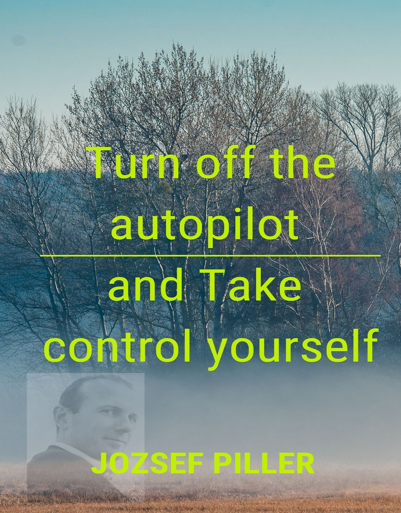 Turn off the autopilot and Take control yourself, ljudbok av Jozsef Piller