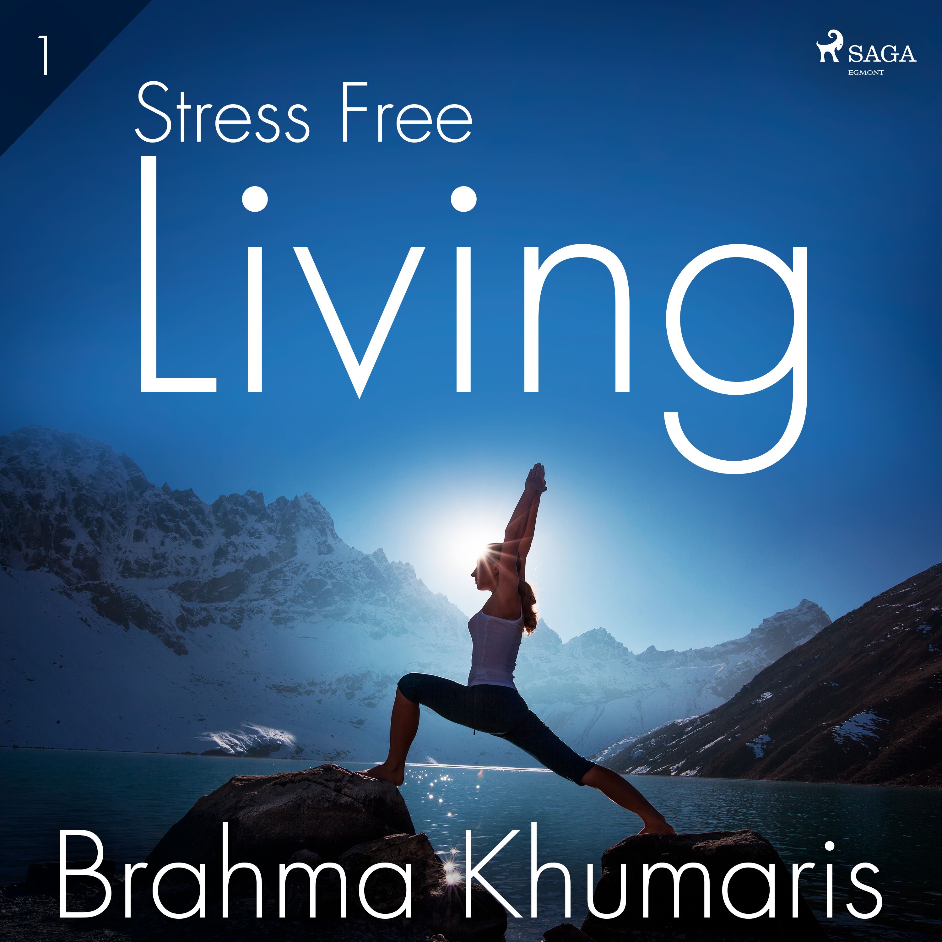 Stress Free Living 1, lydbog af Brahma Khumaris