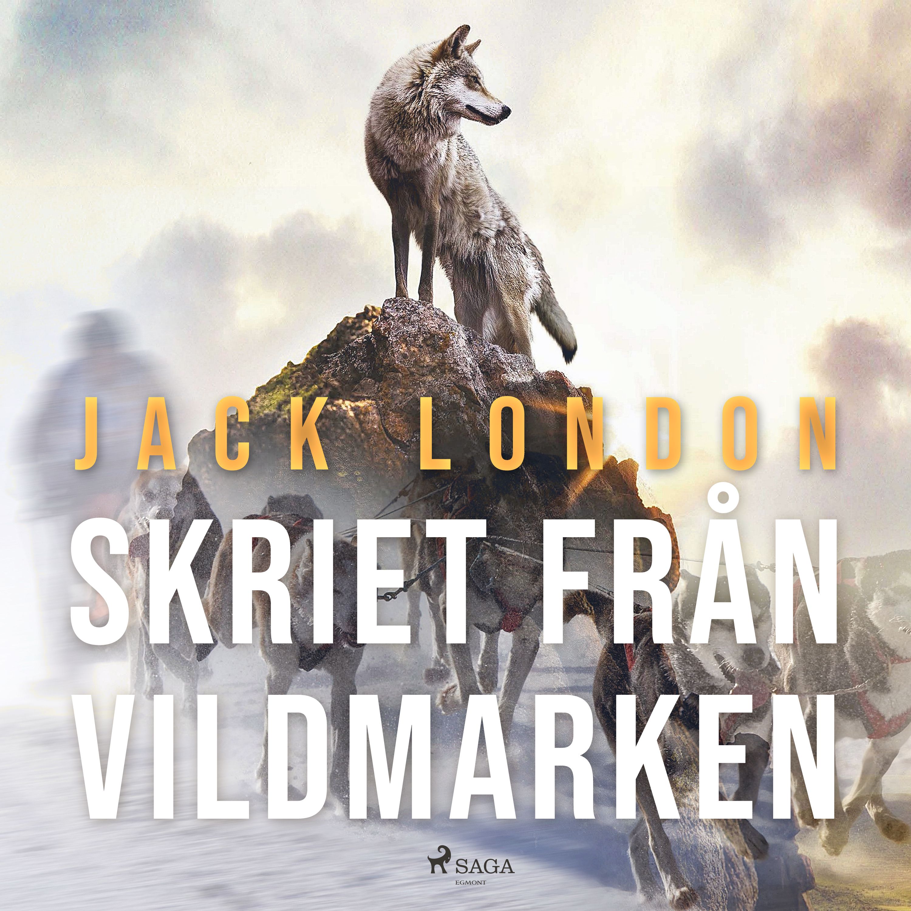 Skriet från vildmarken, ljudbok av Jack London
