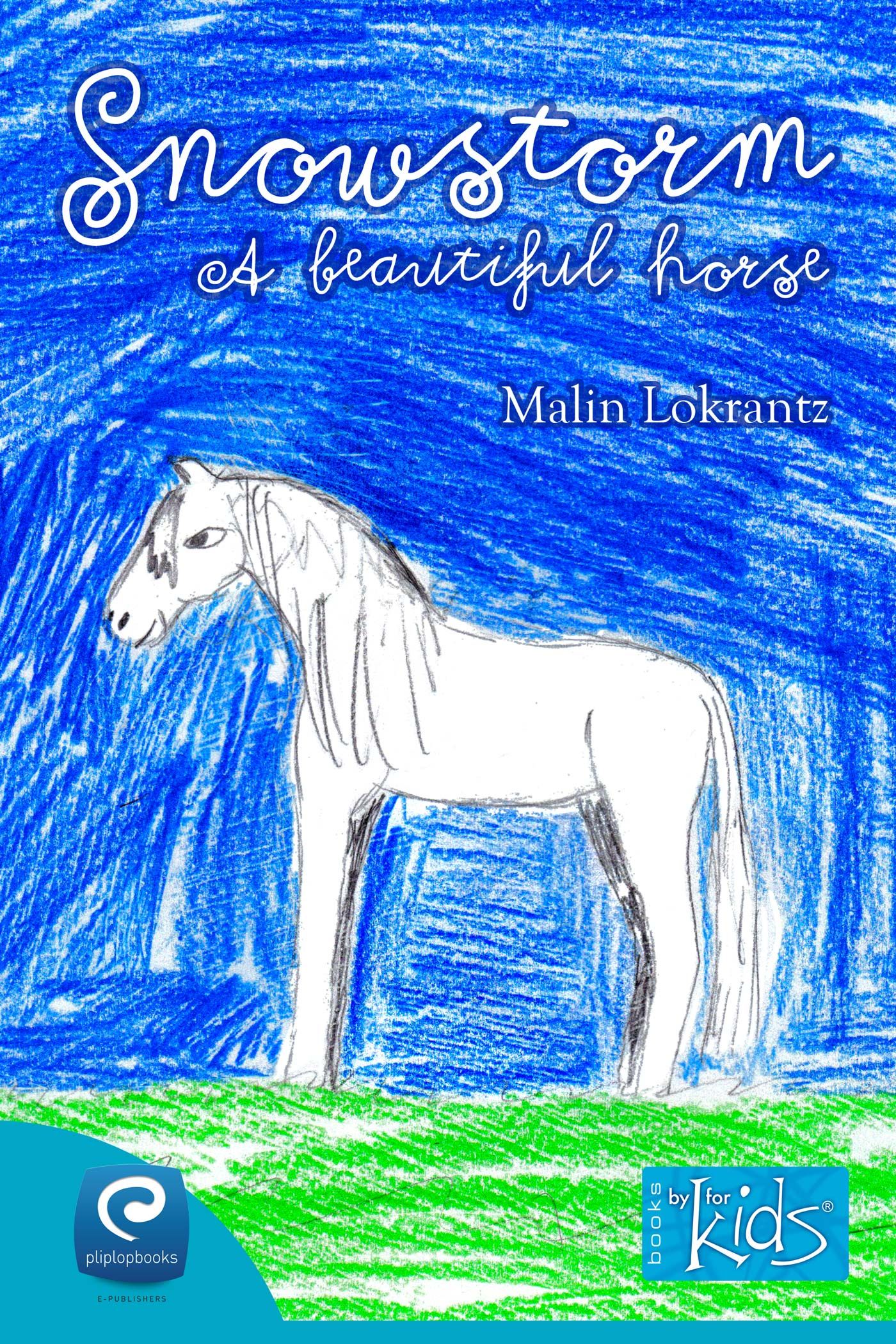 Snowstorm - A beautiful horse, e-bog af Malin Lokrantz