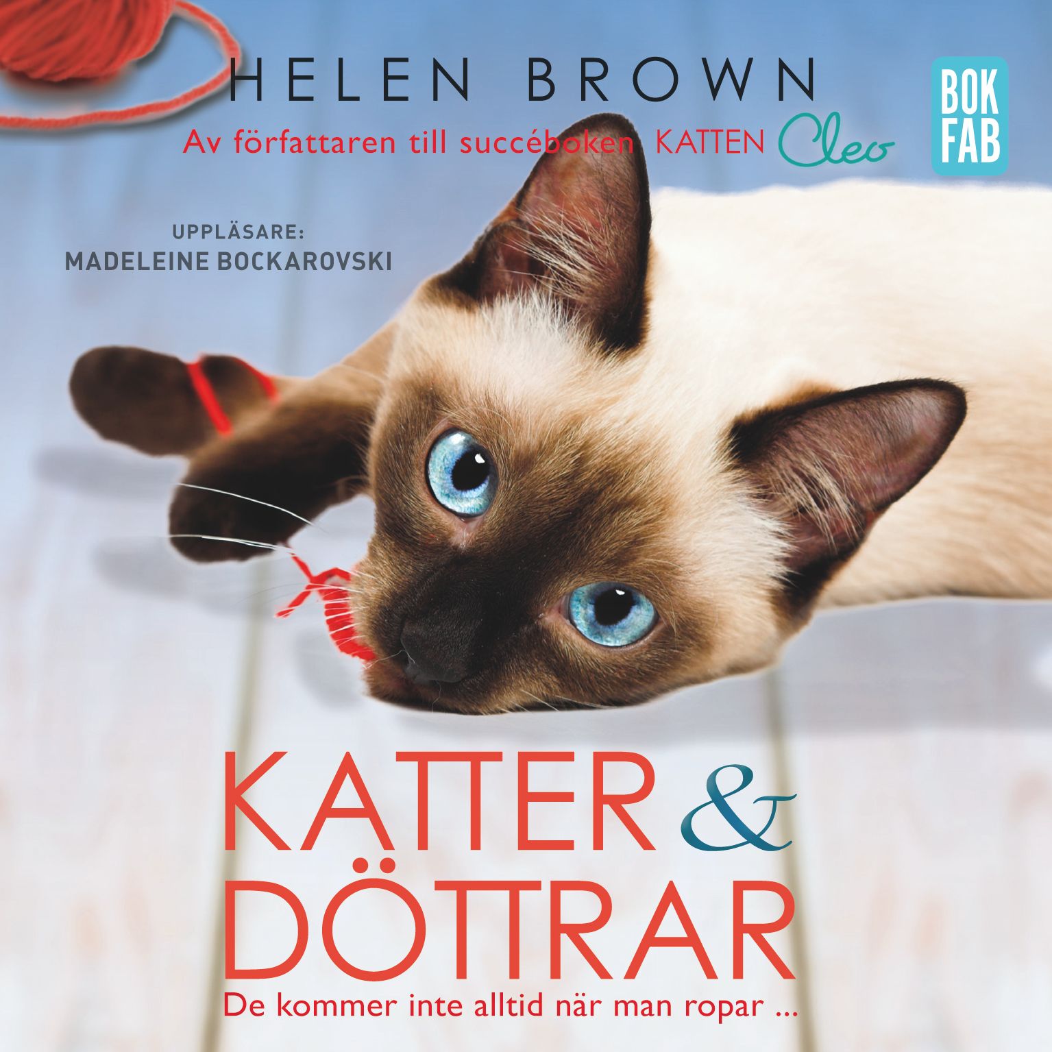 Katter och döttrar, ljudbok av Helen Brown