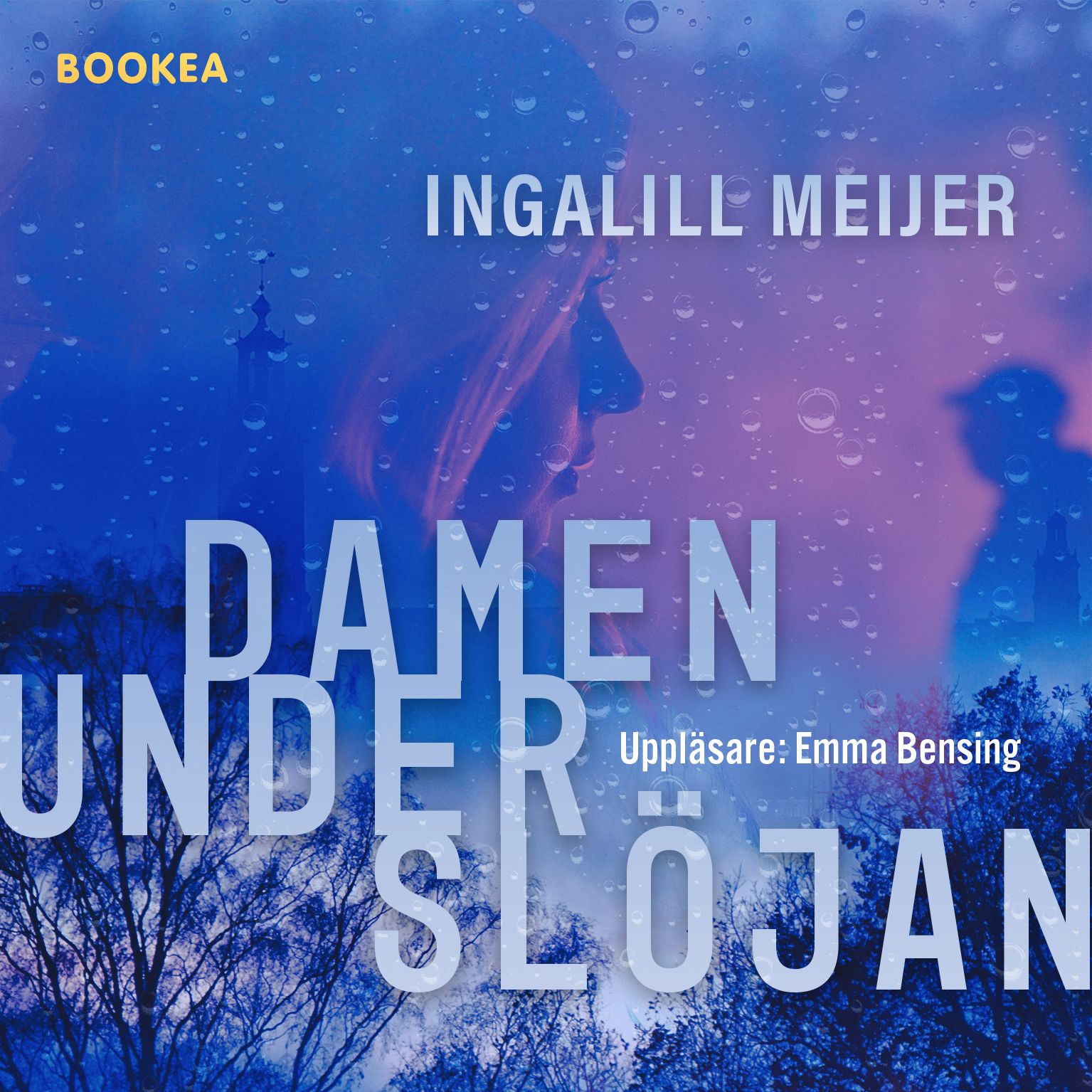 Damen under slöjan, audiobook by Ingalill Meijer