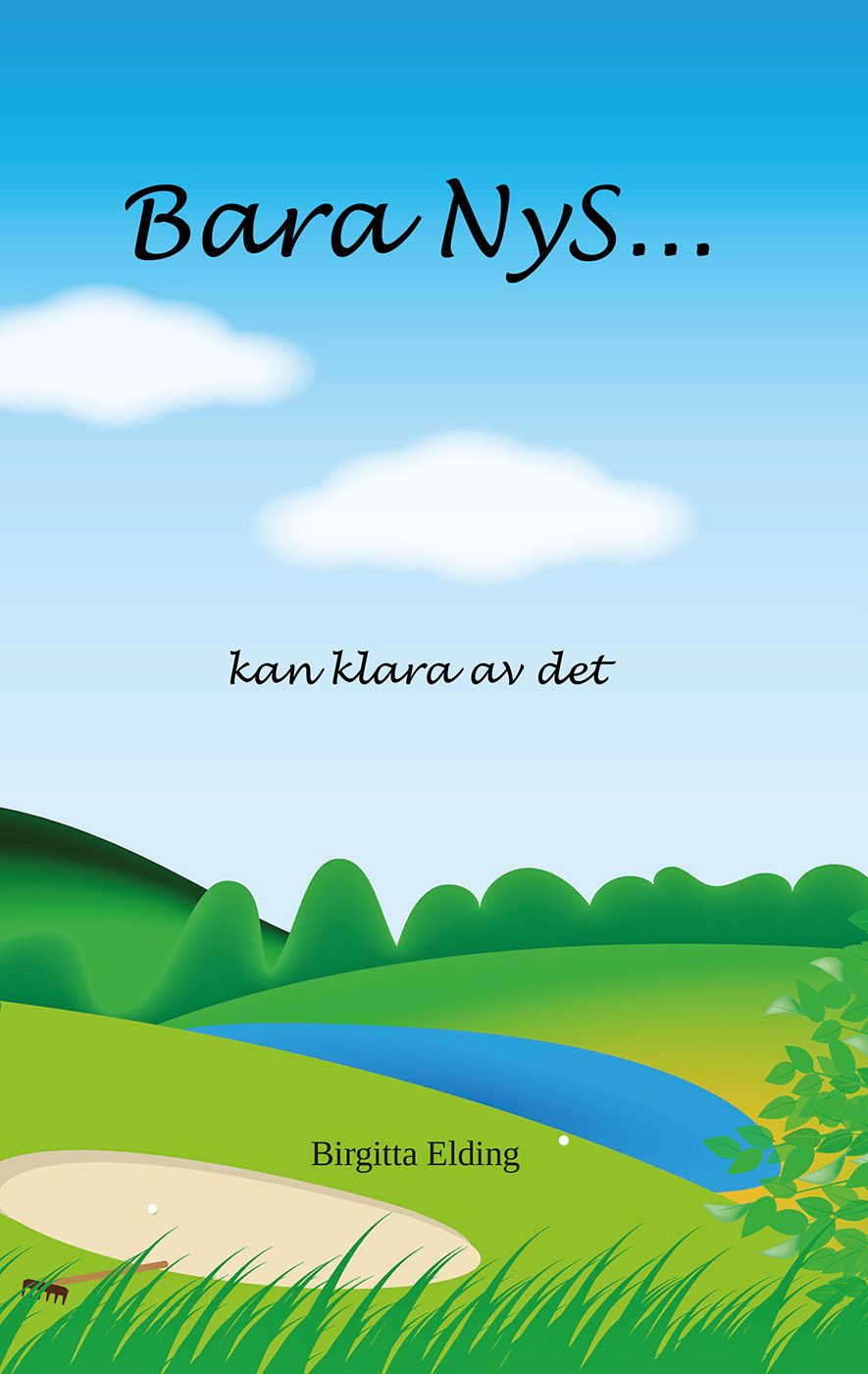Bara NyS... kan klara av det, e-bok av Birgitta Elding