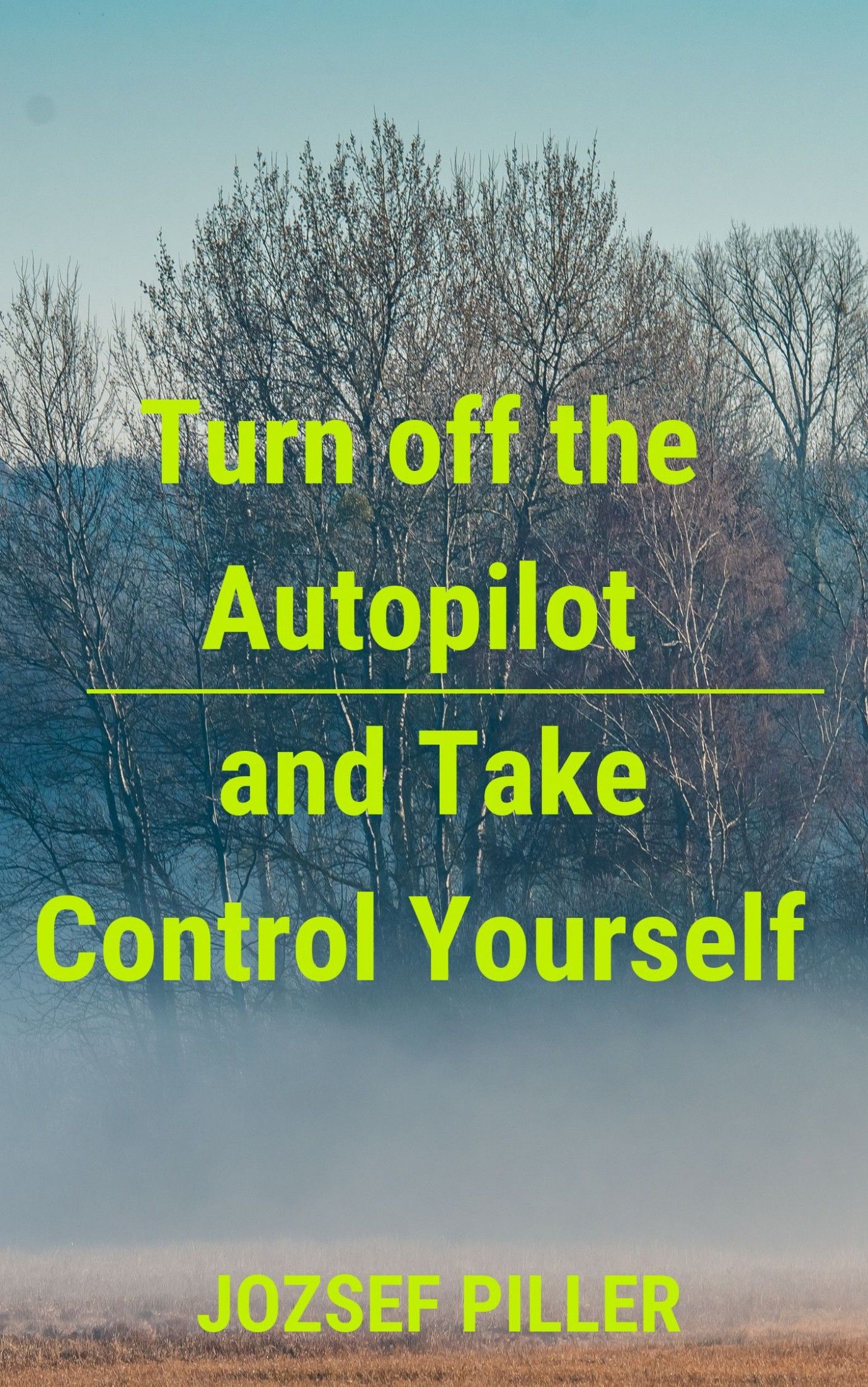 Turn off the autopilot and Take control yourself, e-bog af Jozsef Piller
