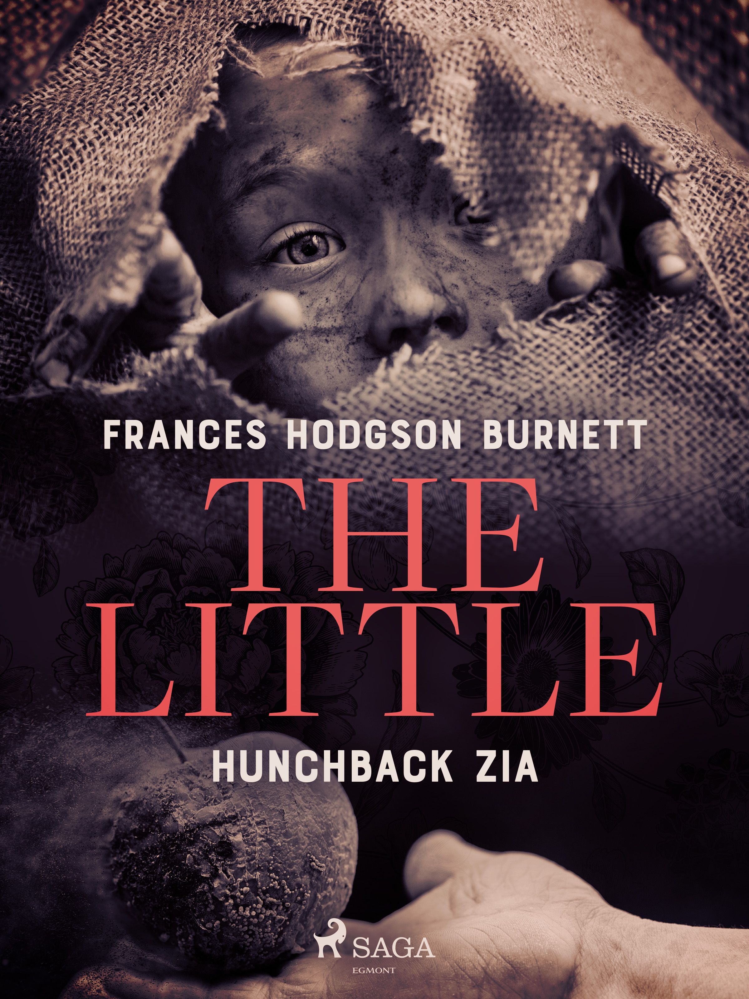 The Little Hunchback Zia, e-bok av Frances Hodgson Burnett