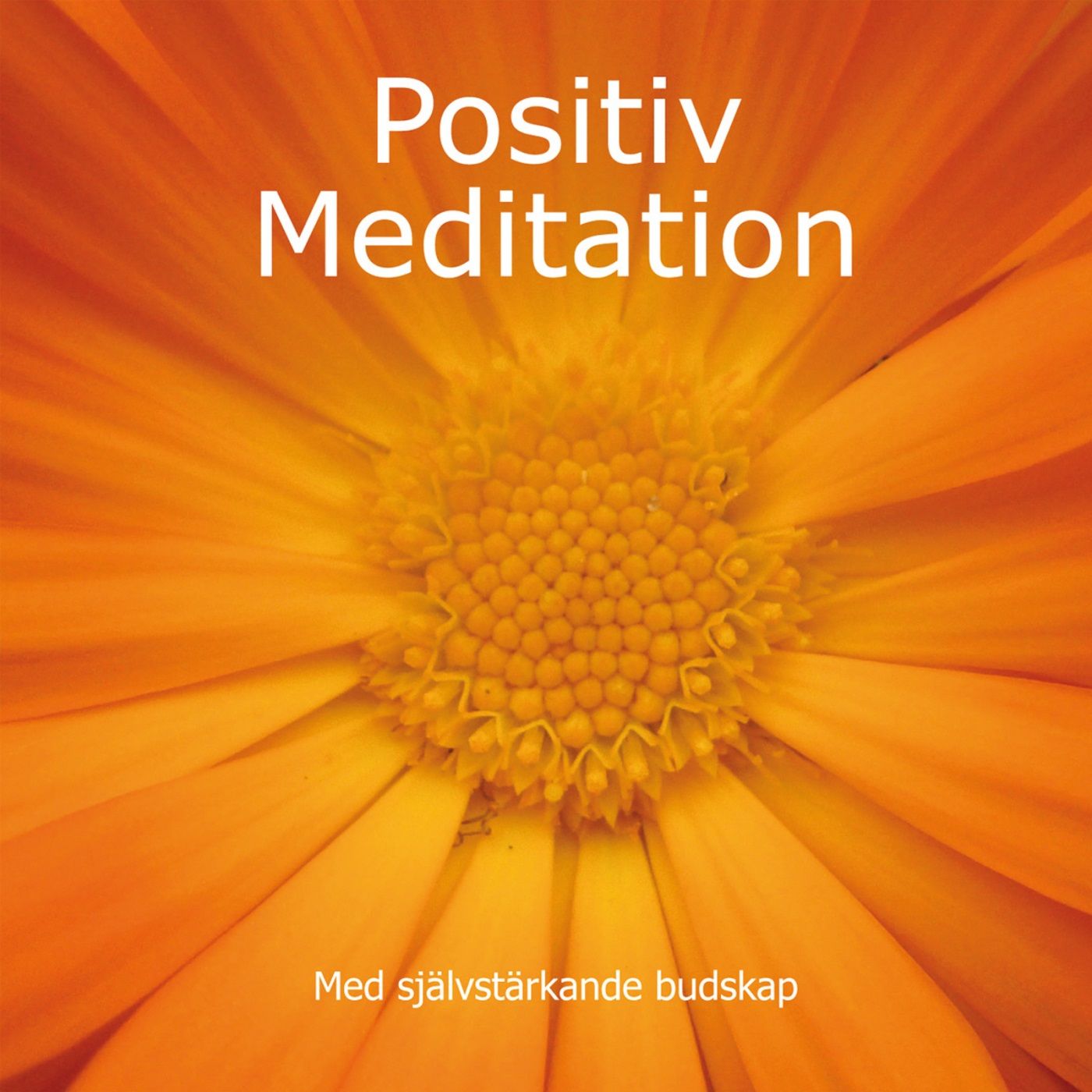 Positiv Meditation med självstärkande budskap, lydbog af Mia de Neergaard