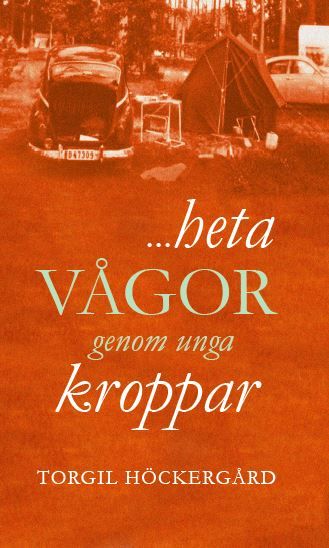 …heta vågor genom unga kroppar, e-bok av Torgil Höckergård