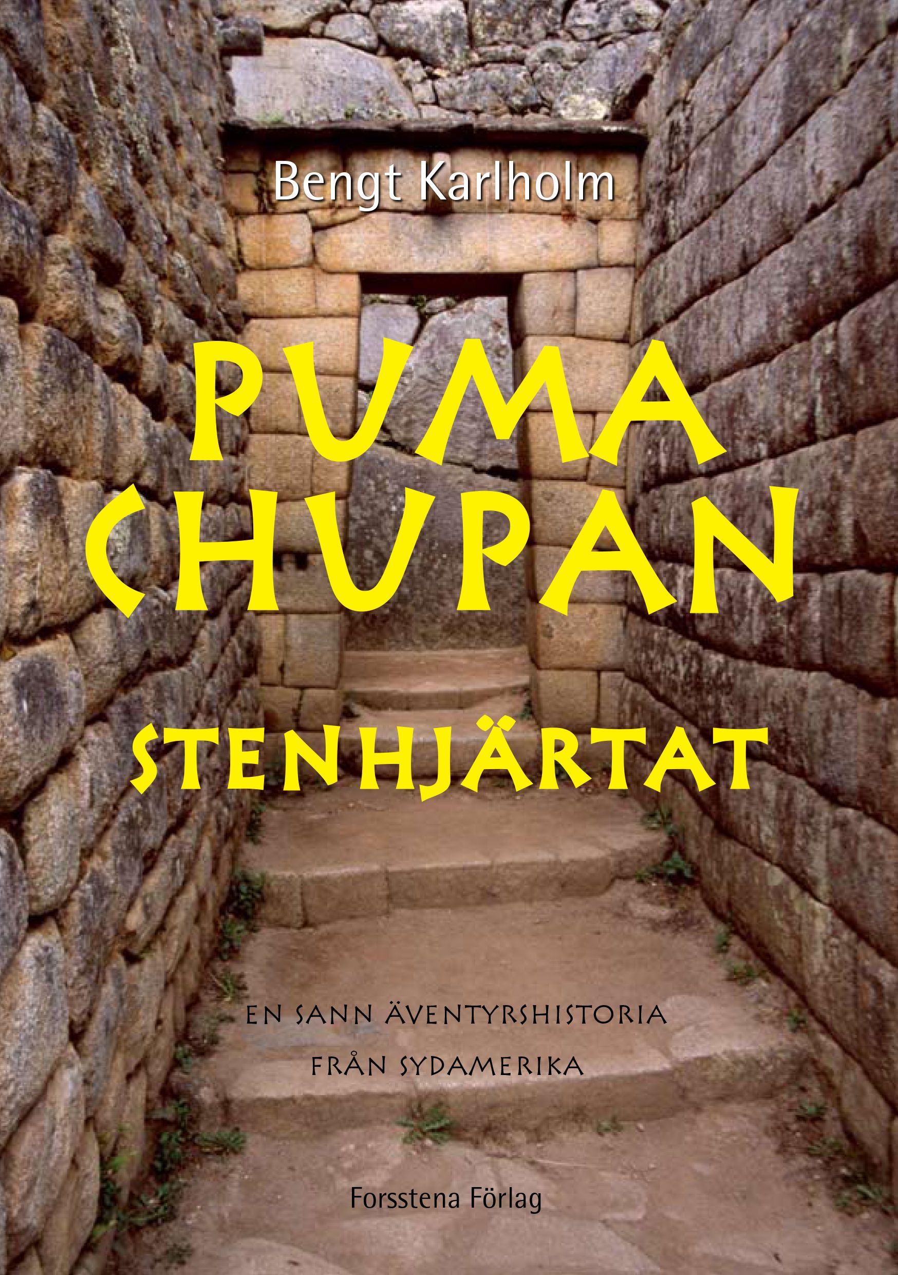 Puma Chupan, e-bok av Bengt Karlholm