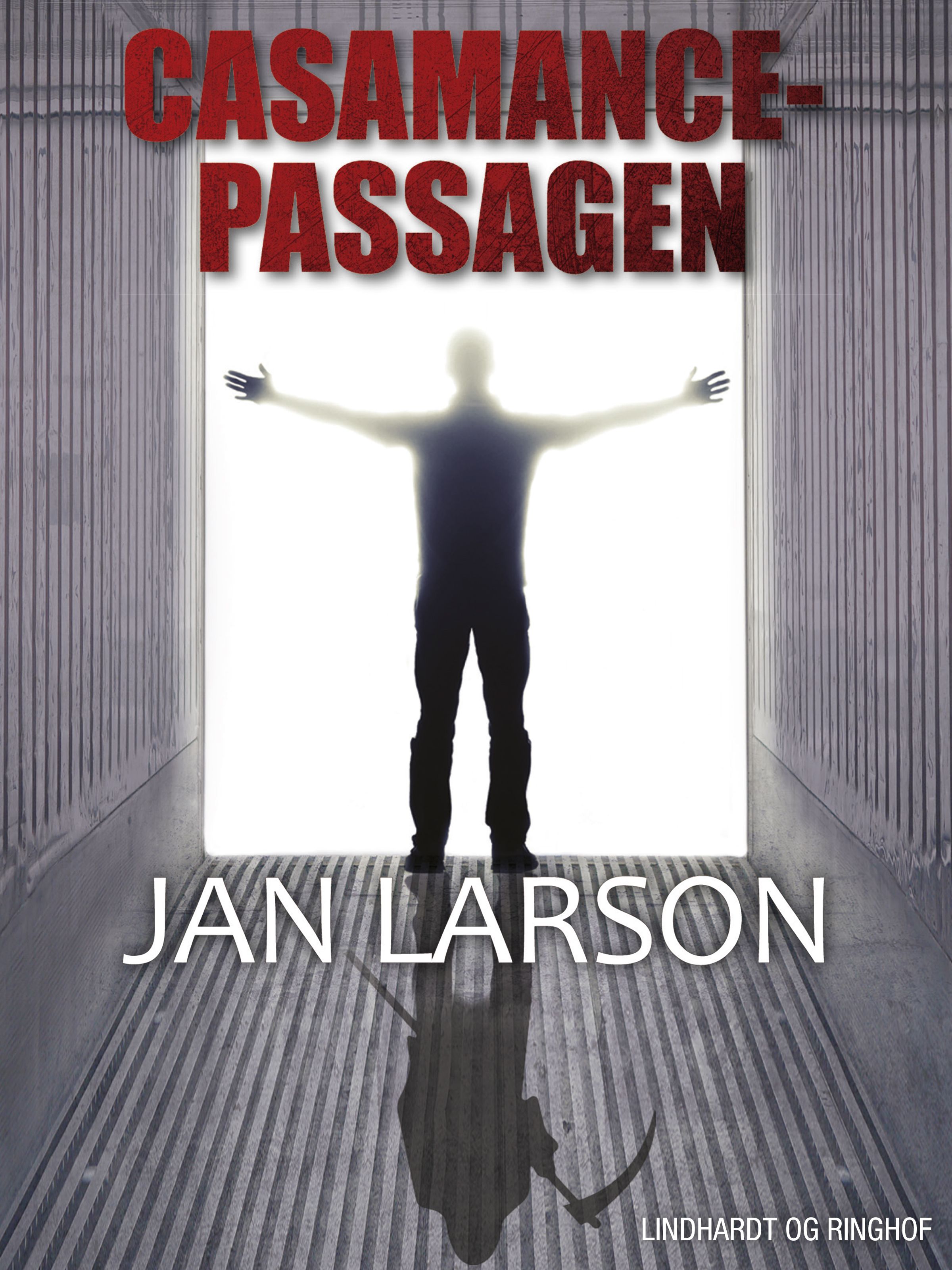 Casamance-passagen, e-bok av Jan Larson