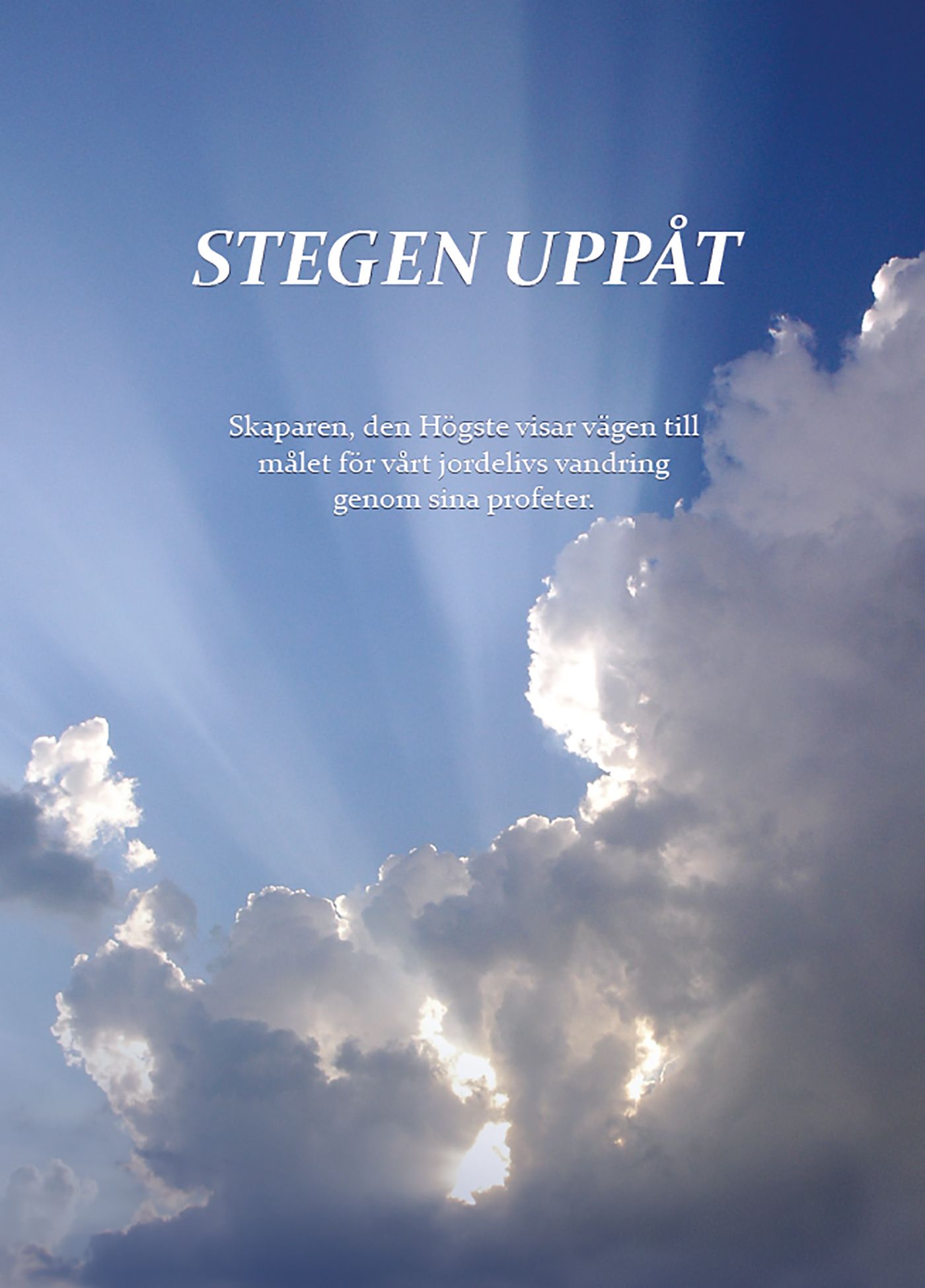 Stegen uppåt, e-bog af Berit Boström