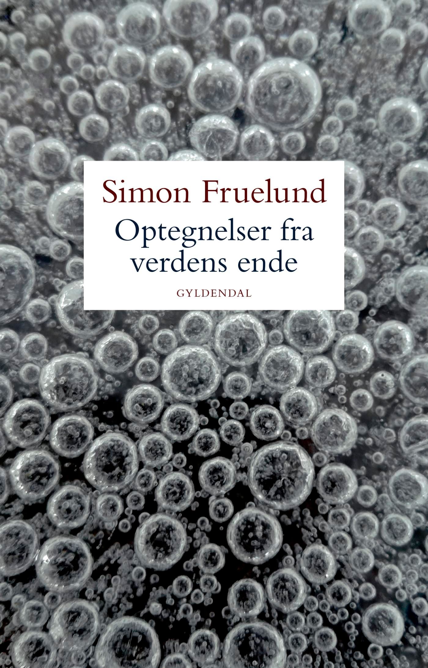 Optegnelser fra verdens ende, e-bok av Simon Fruelund