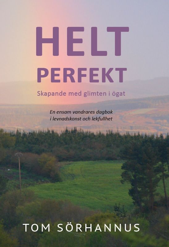 Helt perfekt, e-bok av Tom Sörhannus