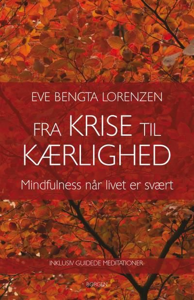 Fra krise til kærlighed, ljudbok av Eve Bengta Lorenzen