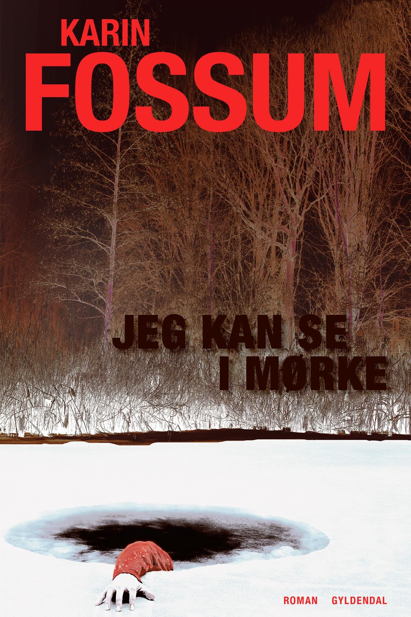 Jeg kan se i mørke, e-bok av Karin Fossum