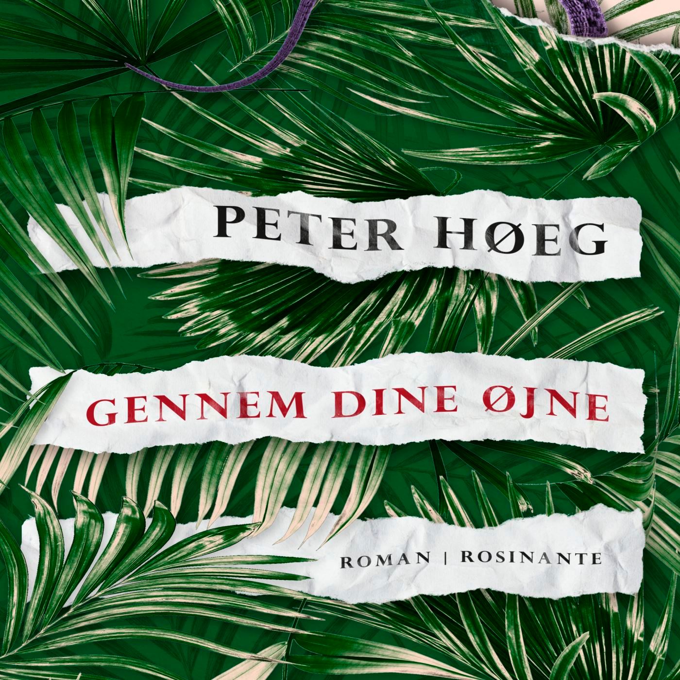 Gennem dine øjne, lydbog af Peter Høeg