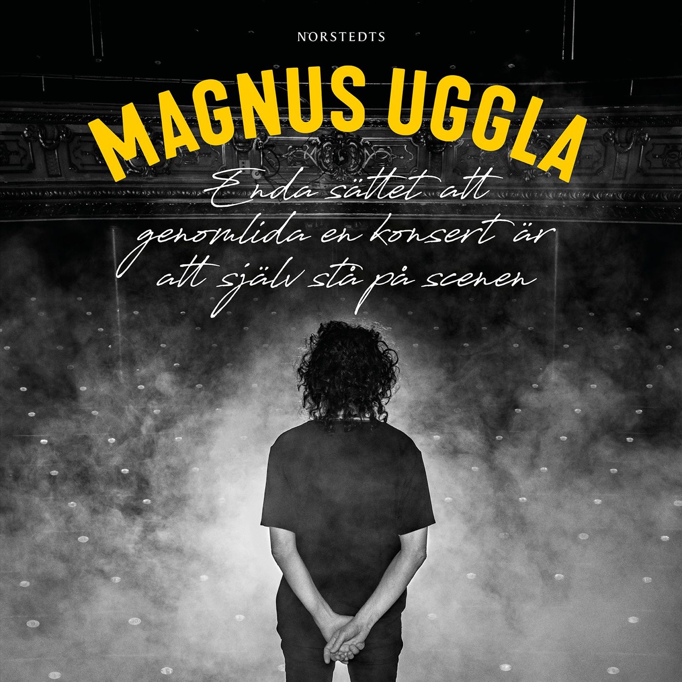Enda sättet att genomlida en konsert är att själv stå på scenen, lydbog af Magnus Uggla