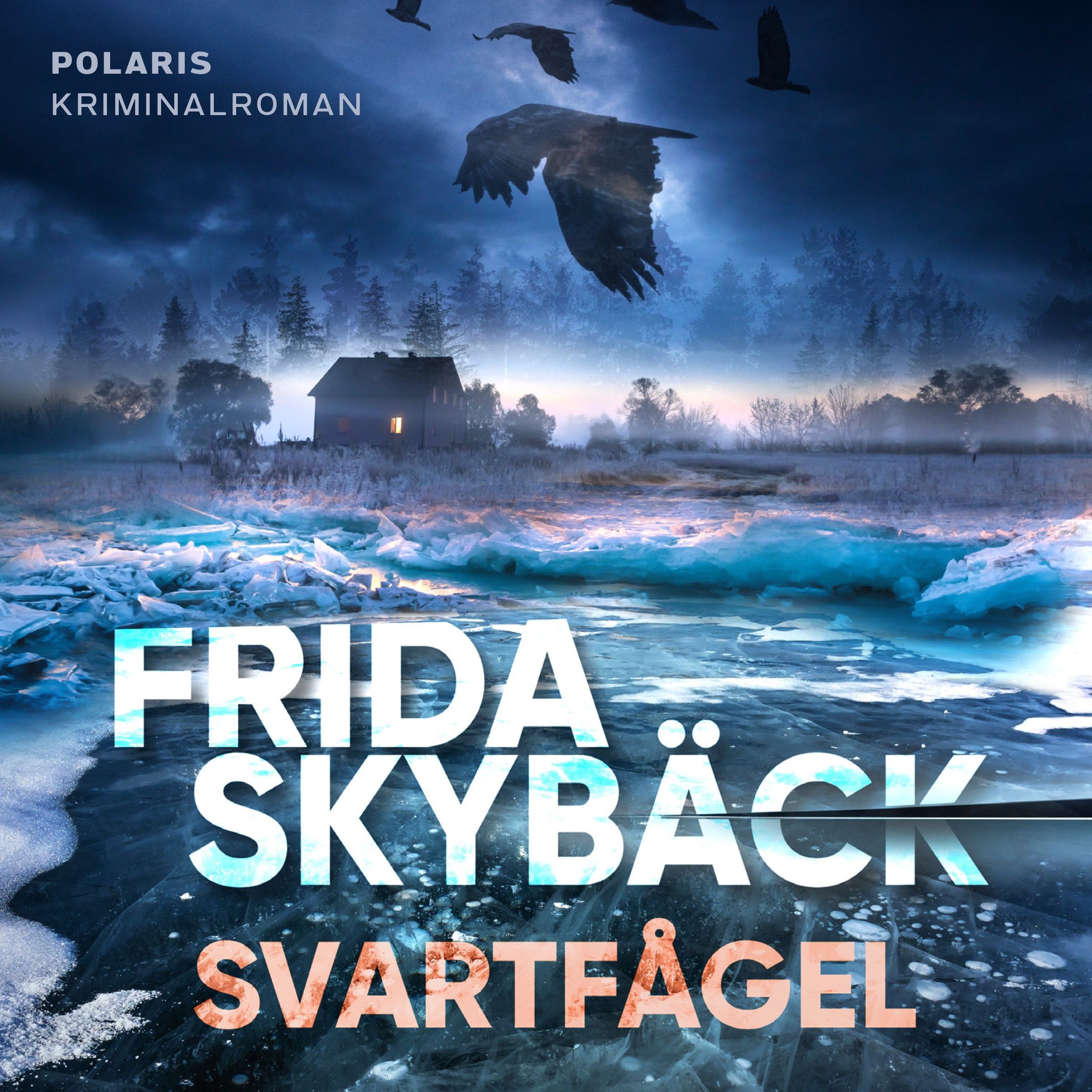 Svartfågel, audiobook by Frida Skybäck