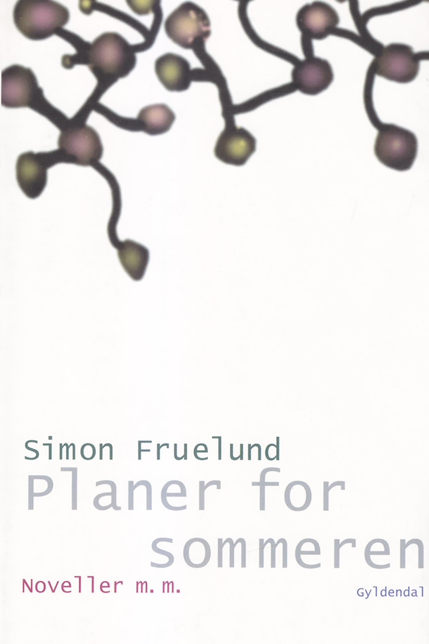 Planer for sommeren, e-bok av Simon Fruelund