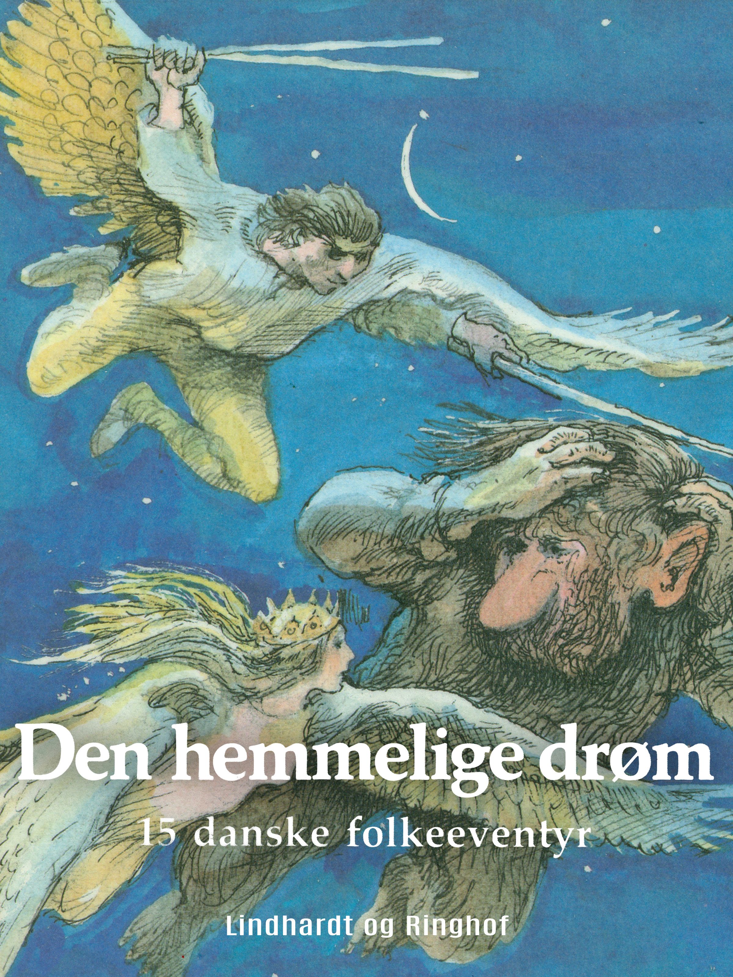 Den hemmelige drøm, e-bok av Søren Christensen