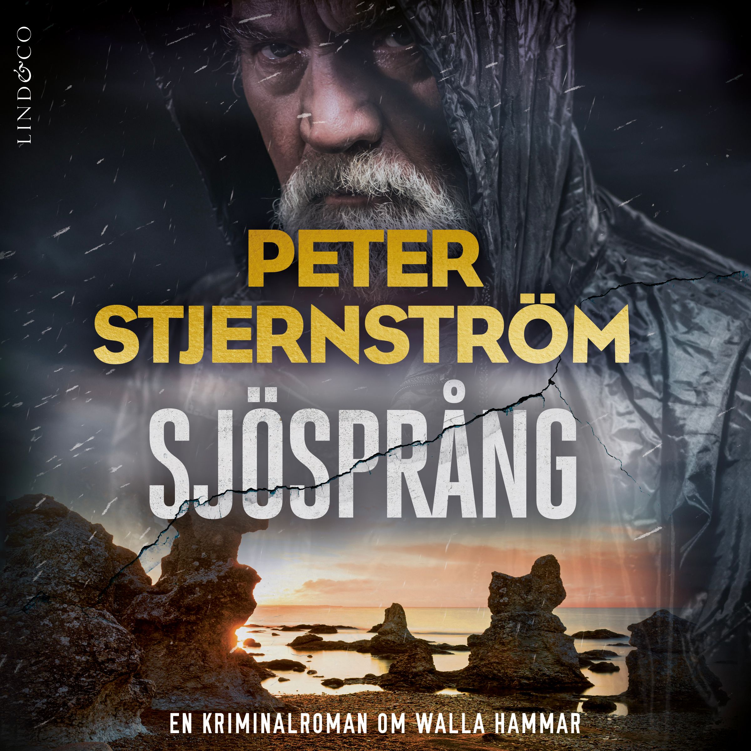 Sjösprång, ljudbok av Peter Stjernström