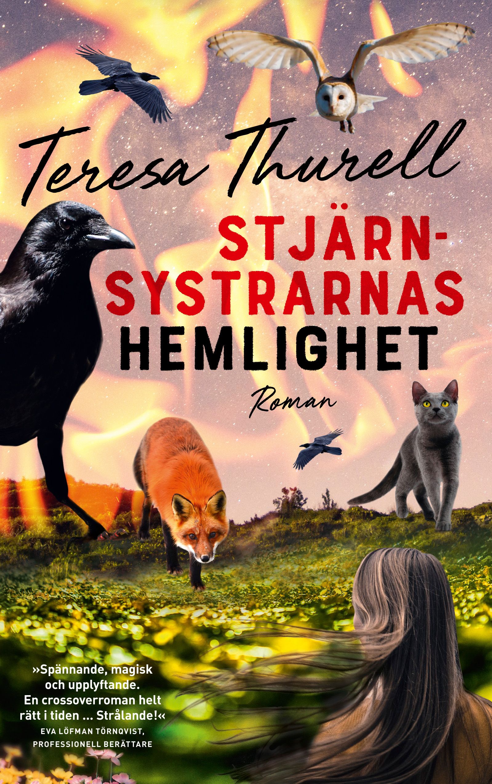 Stjärnsystrarnas hemlighet, e-bog af Teresa Thurell