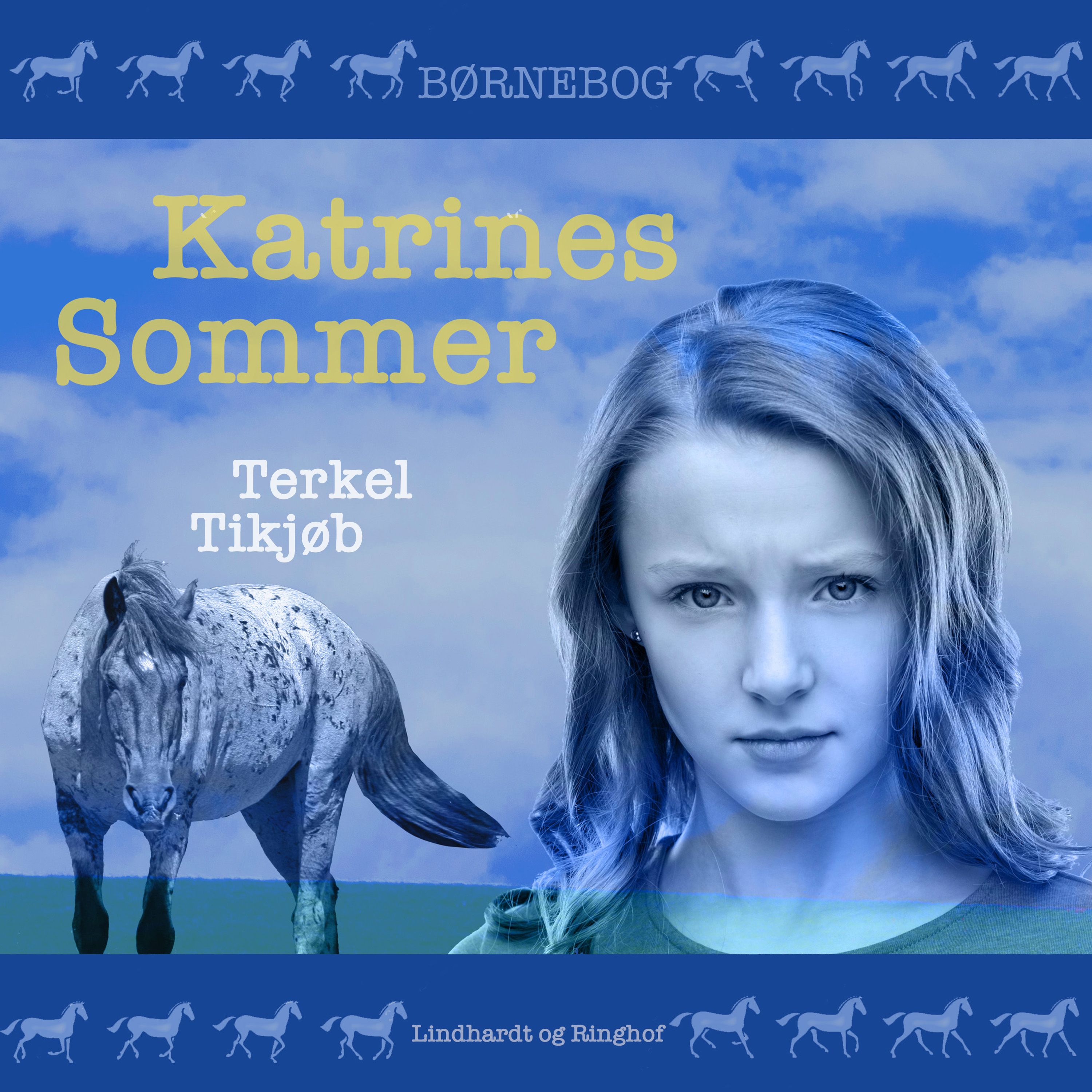 Katrines sommer, ljudbok av Terkel Tikjøb