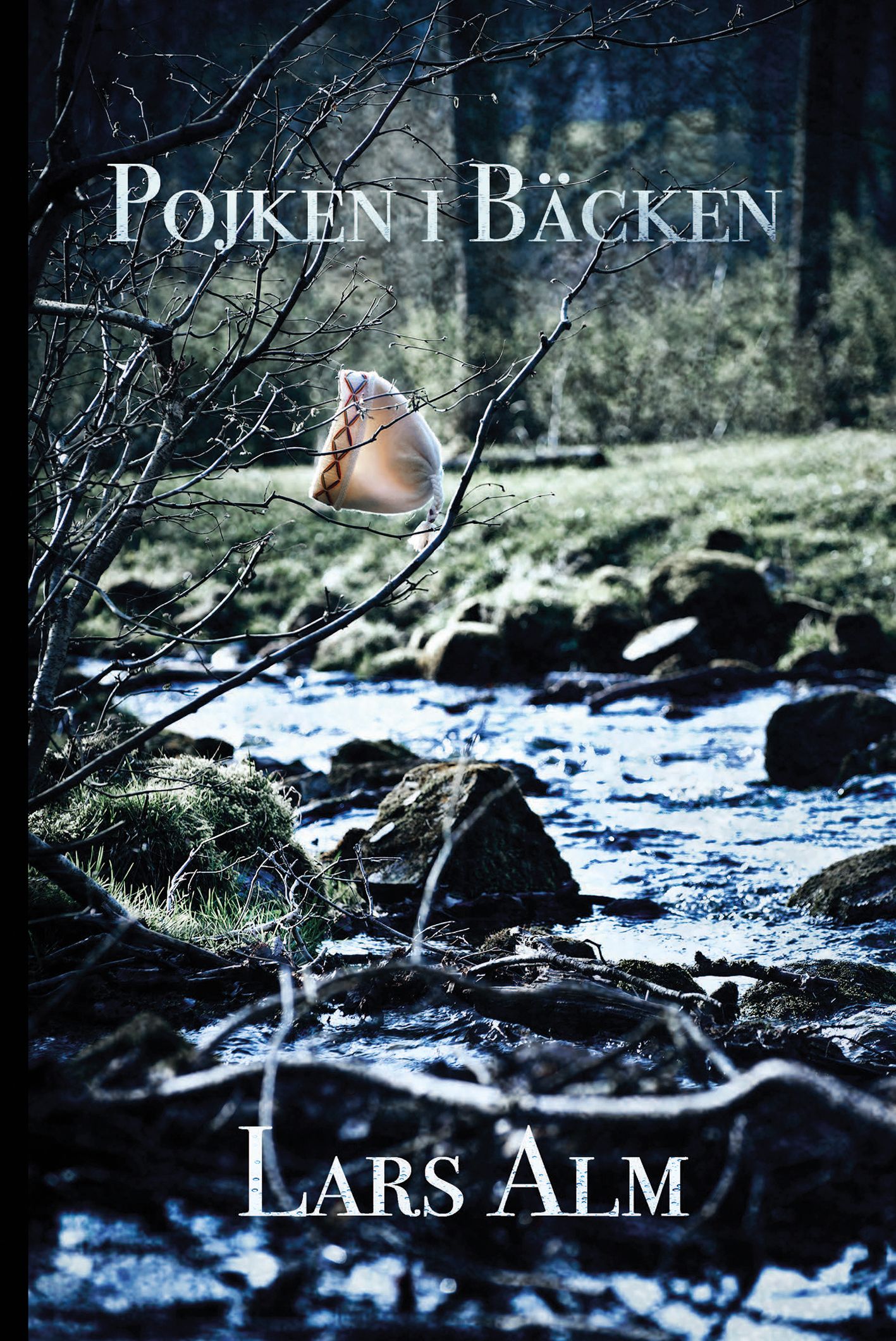 Pojken i bäcken, e-bog af Lars Alm