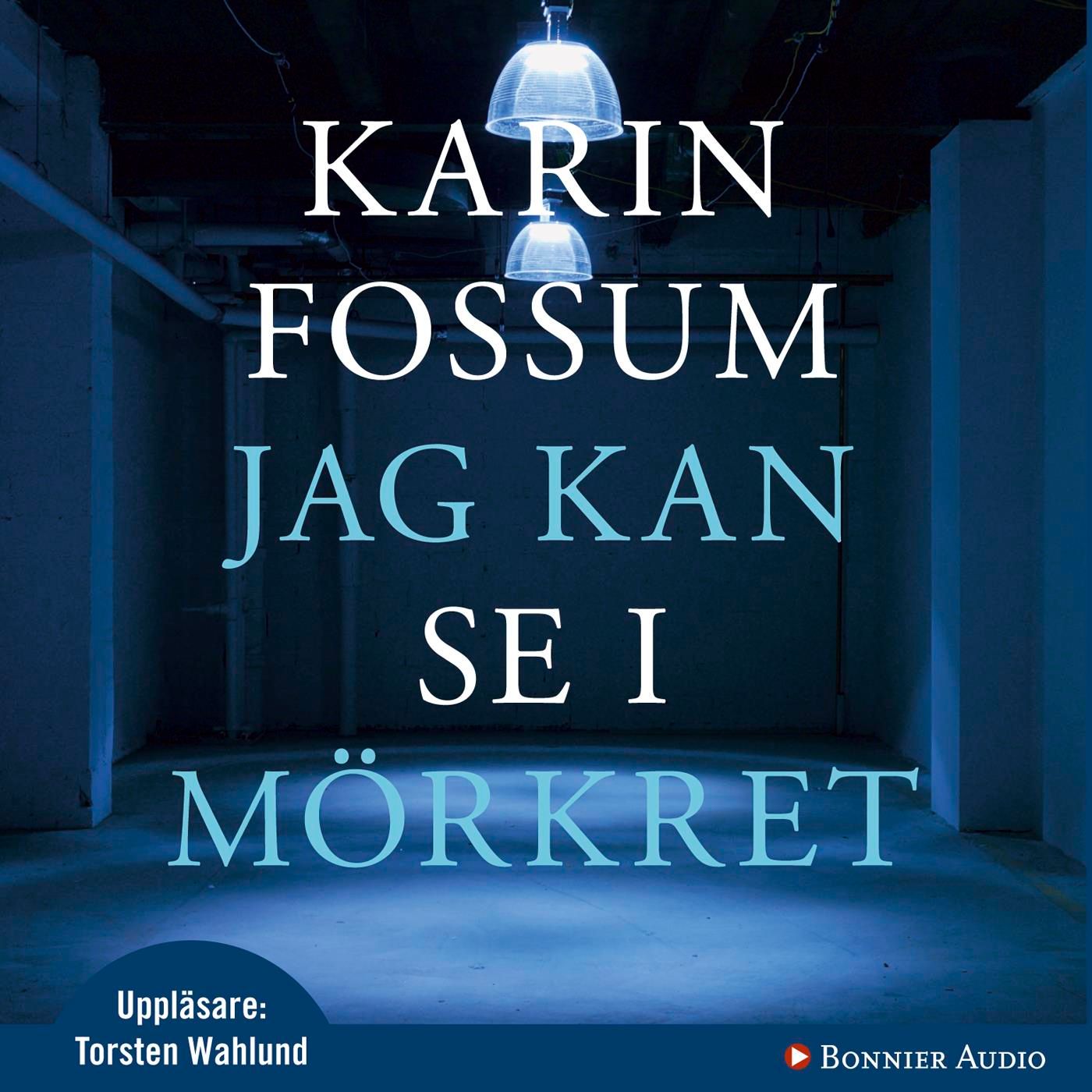 Jag kan se i mörkret, ljudbok av Karin Fossum