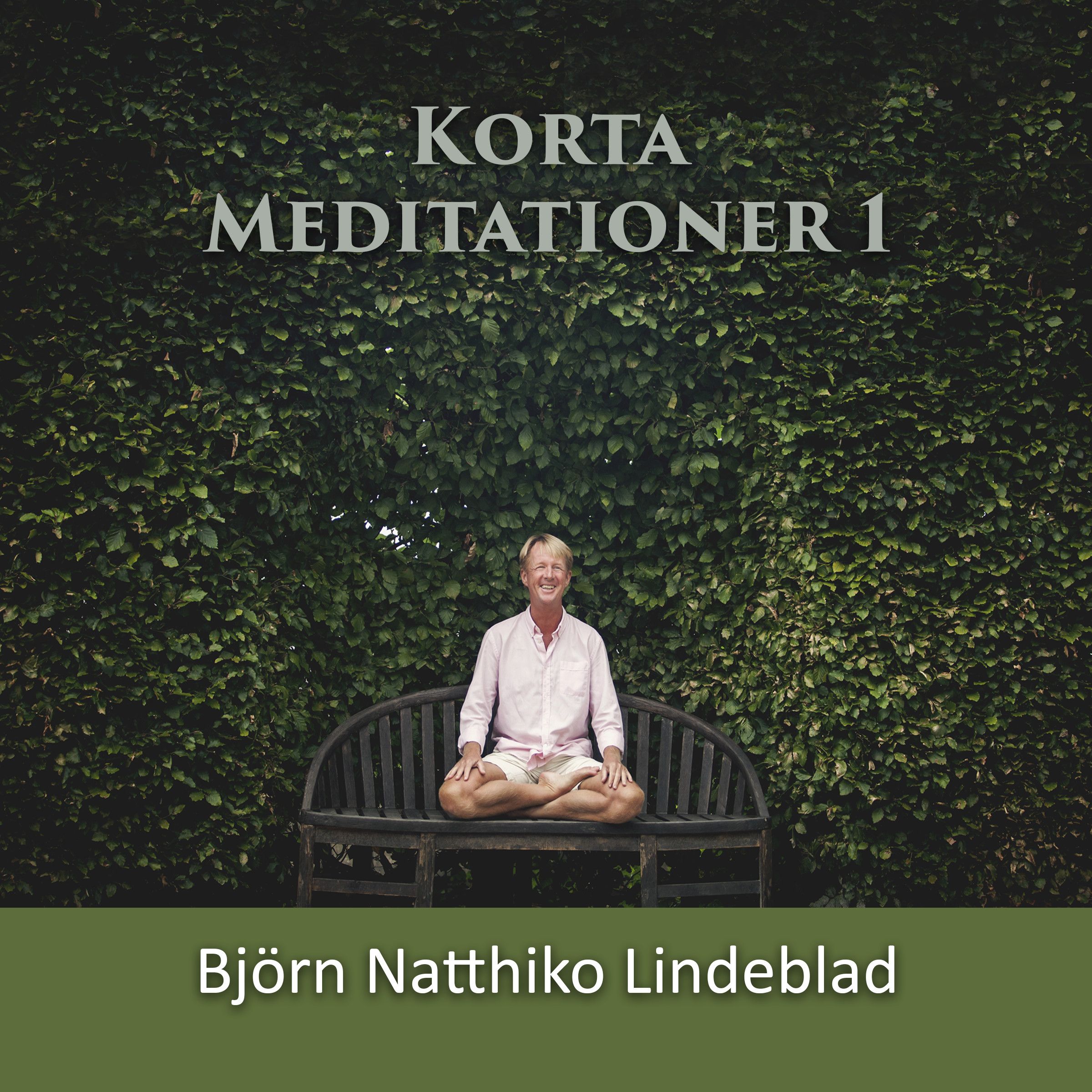 Korta Meditationer 1, ljudbok av Björn Natthiko Lindeblad