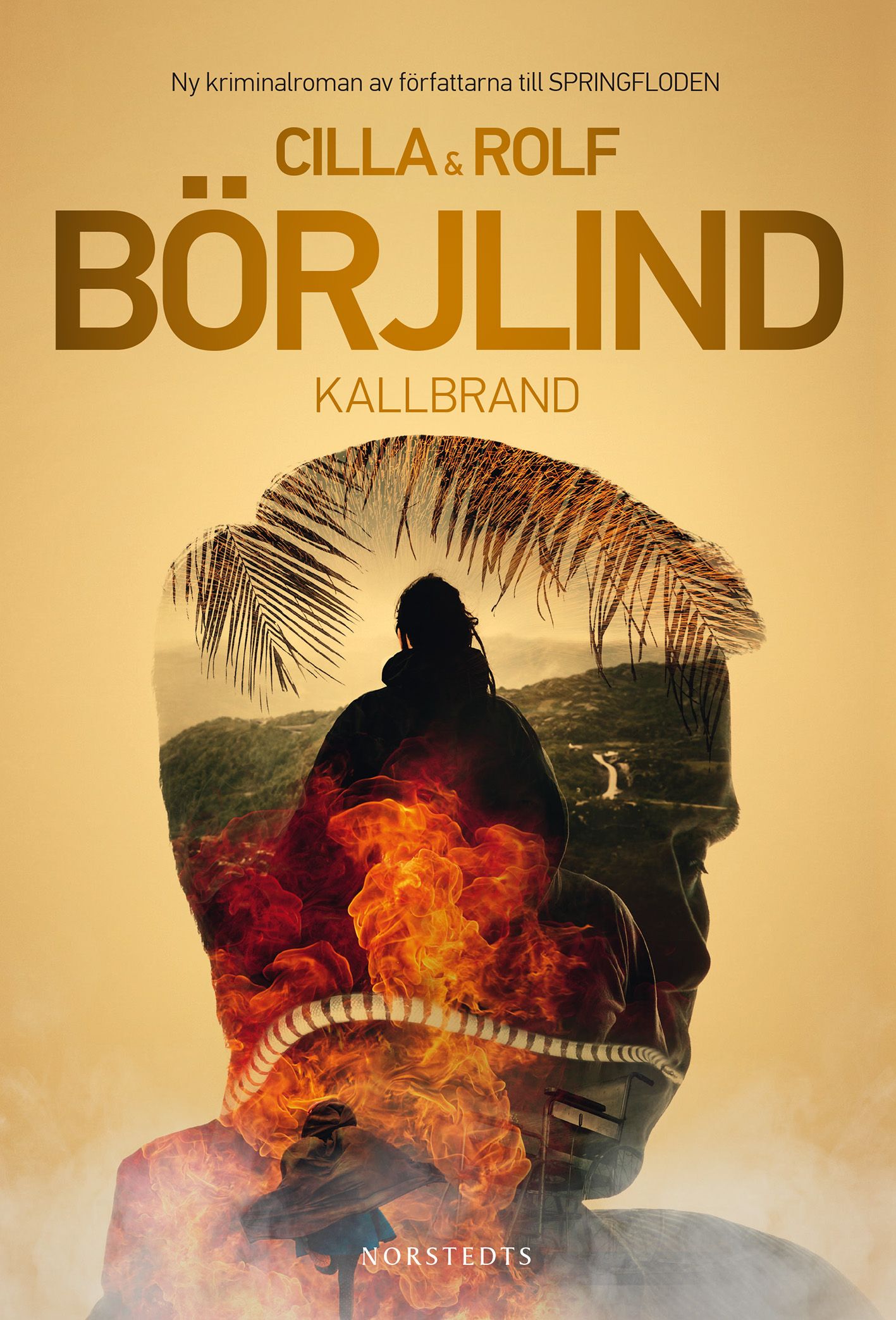 Kallbrand, e-bog af Rolf Börjlind, Cilla Börjlind