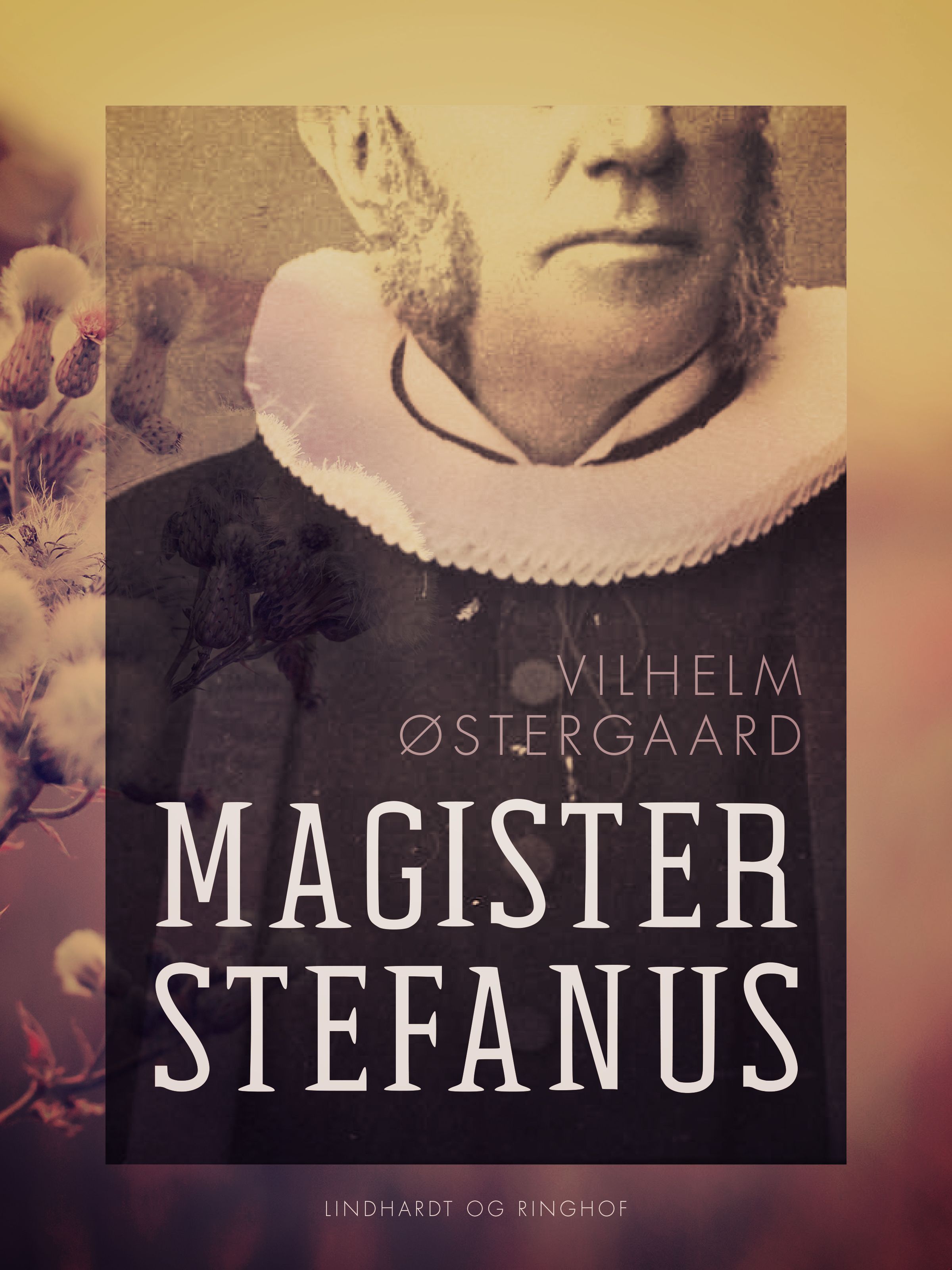 Magister Stefanus, e-bog af Vilhelm Østergaard