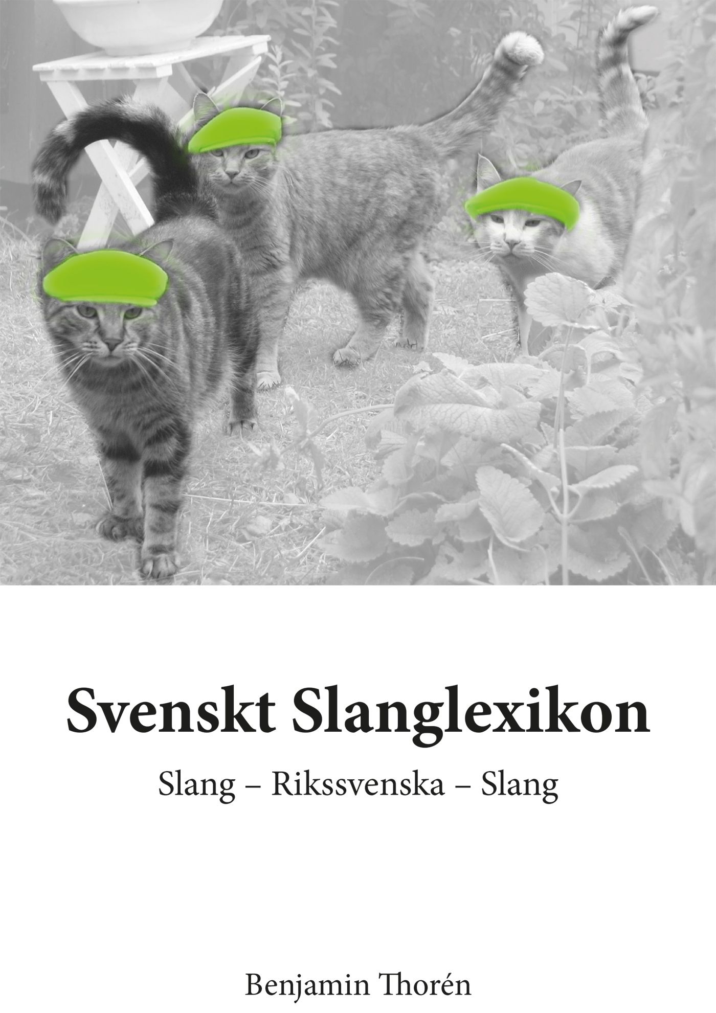 Svenskt Slanglexikon, e-bog af Benjamin Thorén