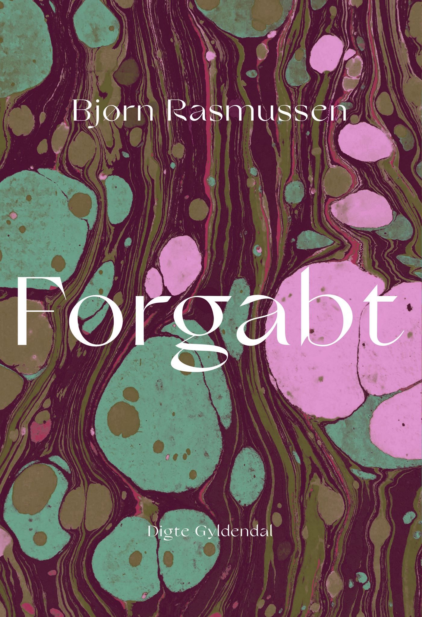 Forgabt, e-bok av Bjørn Rasmussen