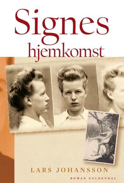 Signes hjemkomst, ljudbok av Lars Johansson