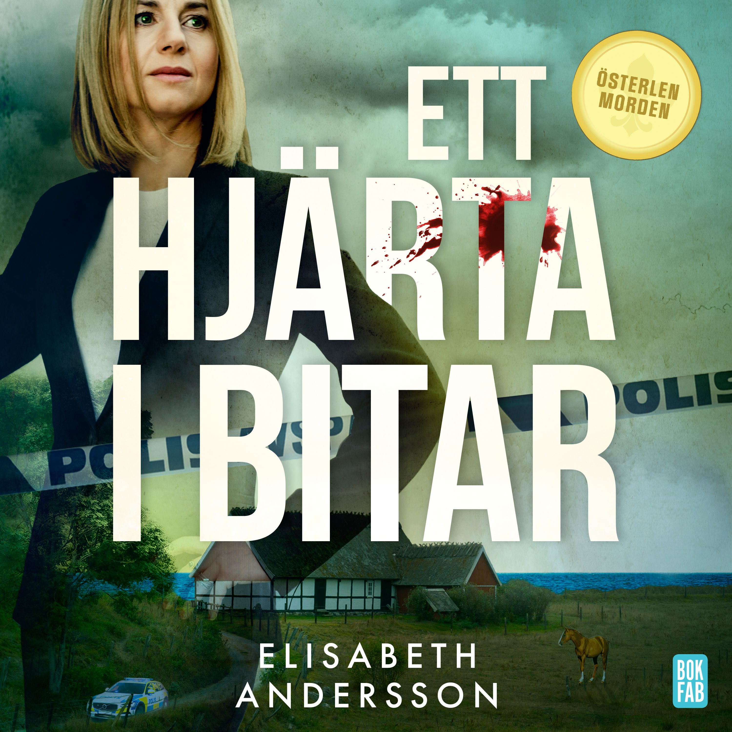 Ett hjärta i bitar, audiobook by Elisabeth Andersson