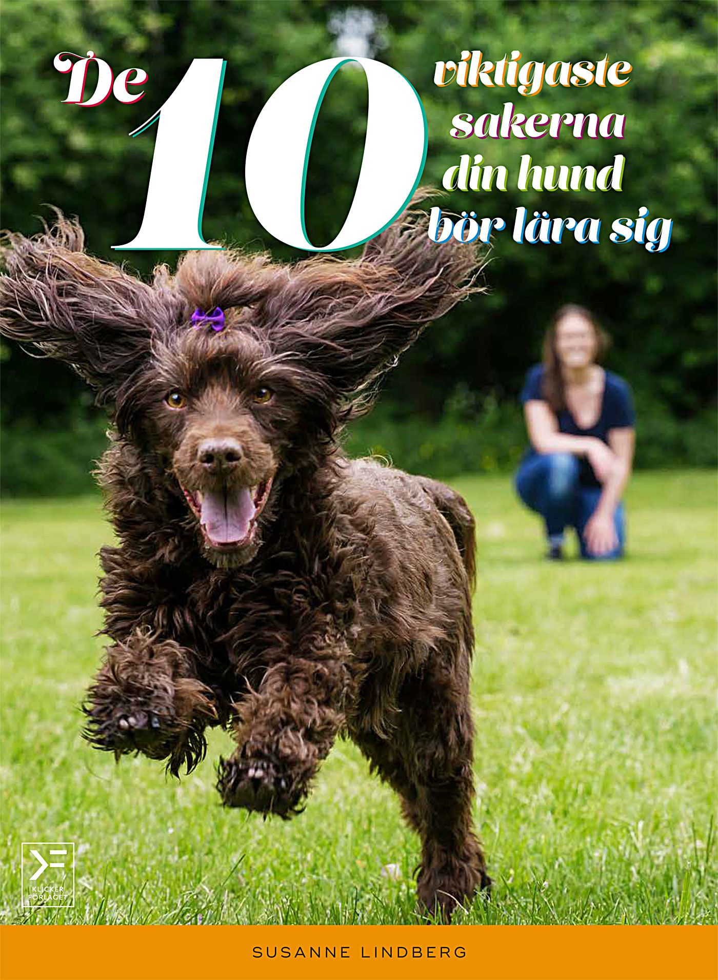 De 10 viktigaste sakerna din hund bör lära sig, e-bok av Susanne Lindberg