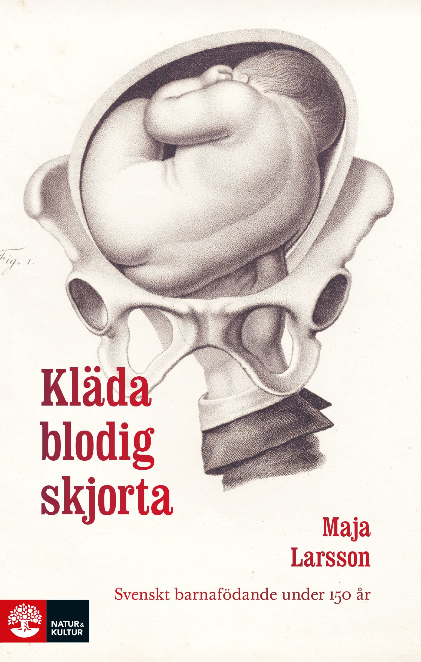 Kläda blodig skjorta : Svenskt barnafödande under 150 år, e-bok av Maja Larsson