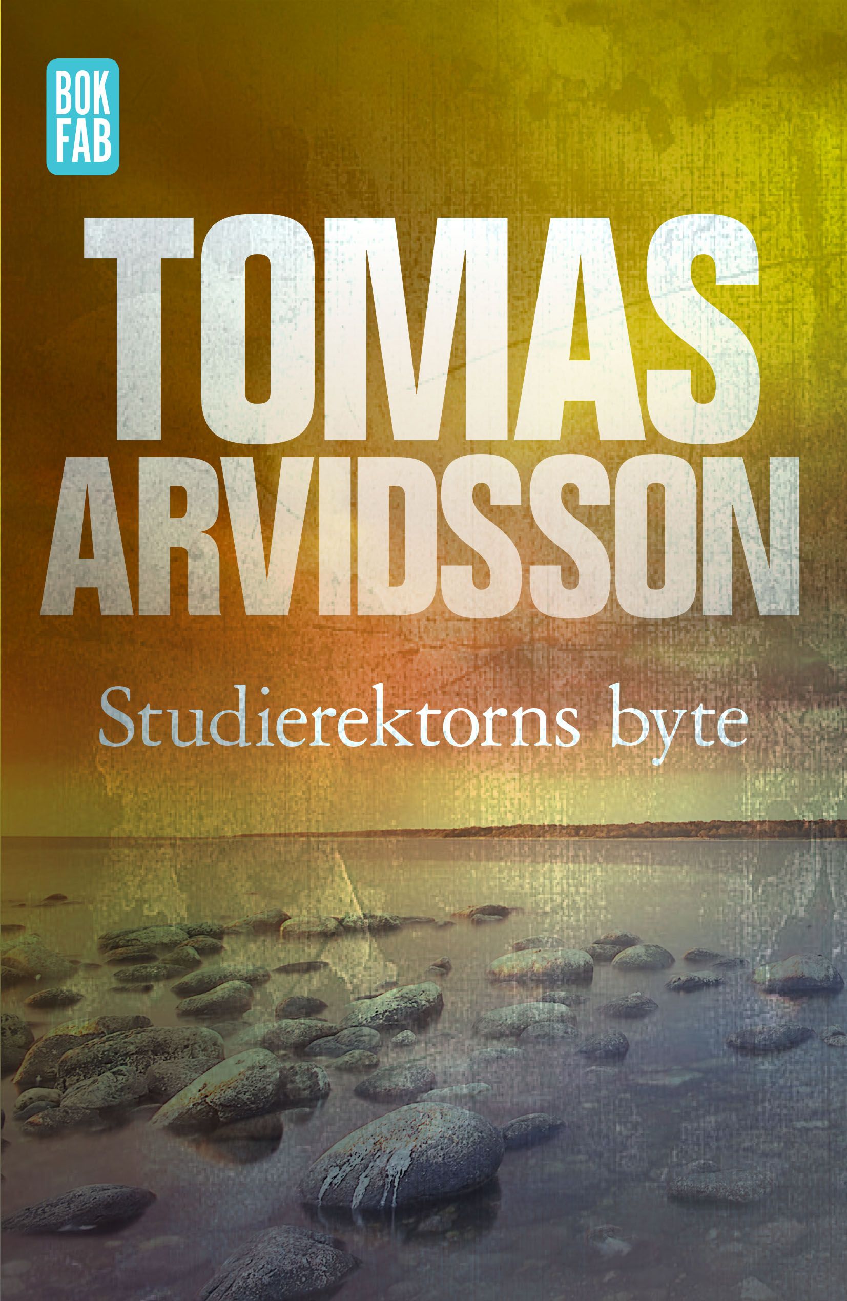 Studierektorns byte, e-bok av Tomas Arvidsson