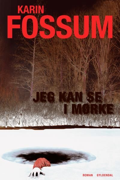 Jeg kan se i mørke, ljudbok av Karin Fossum
