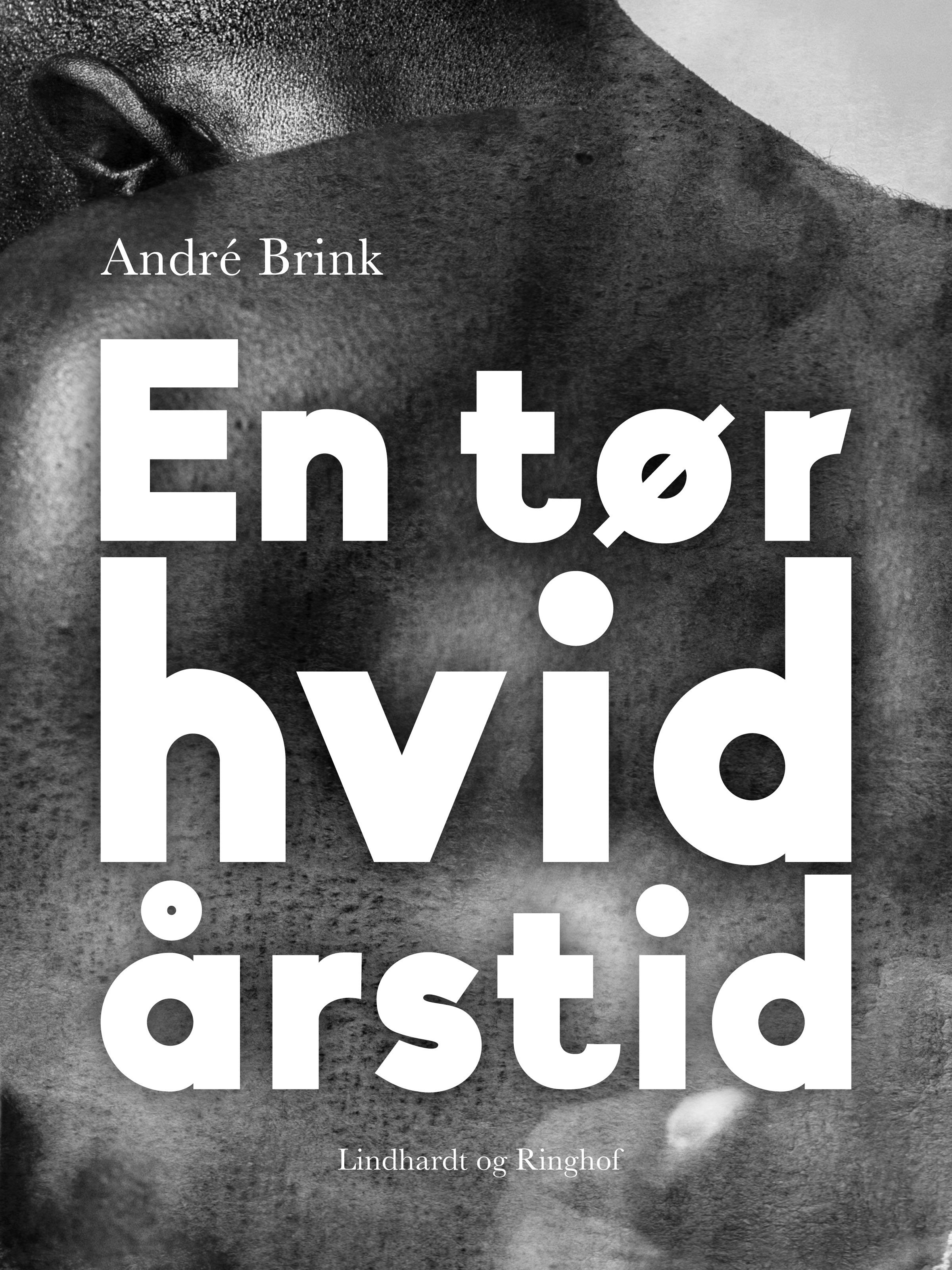 En tør hvid årstid, e-bog af André Brink